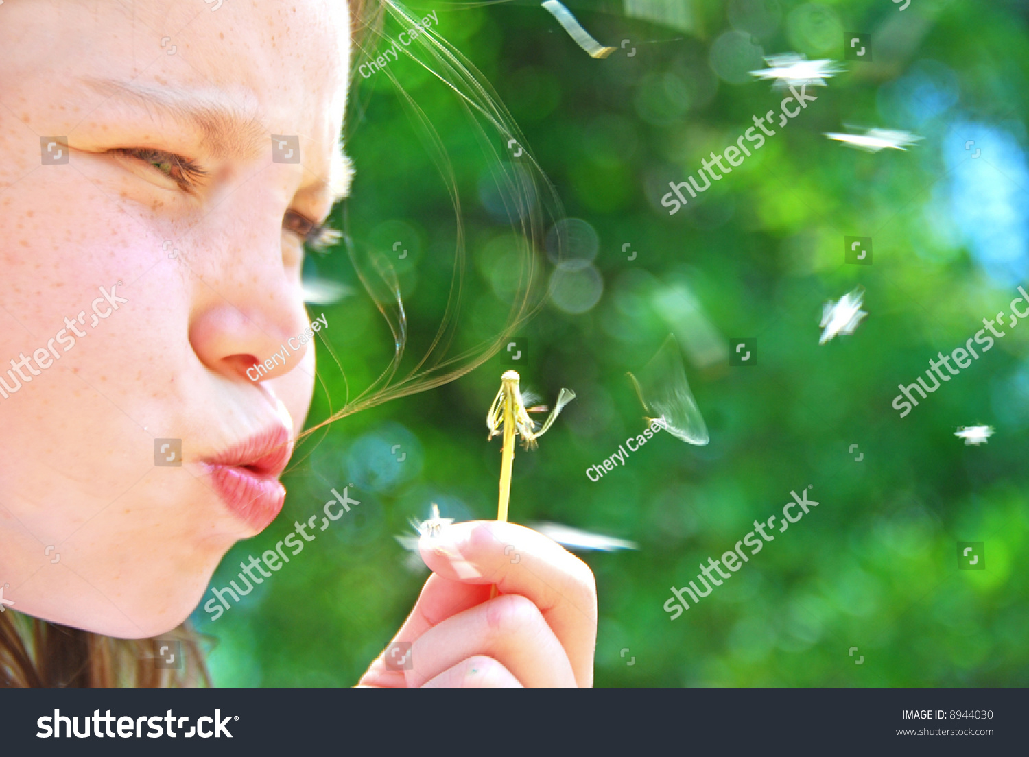 Girl Blowing Dandelion Flying Seeds Stock Photo 8944030 | Shutterstock