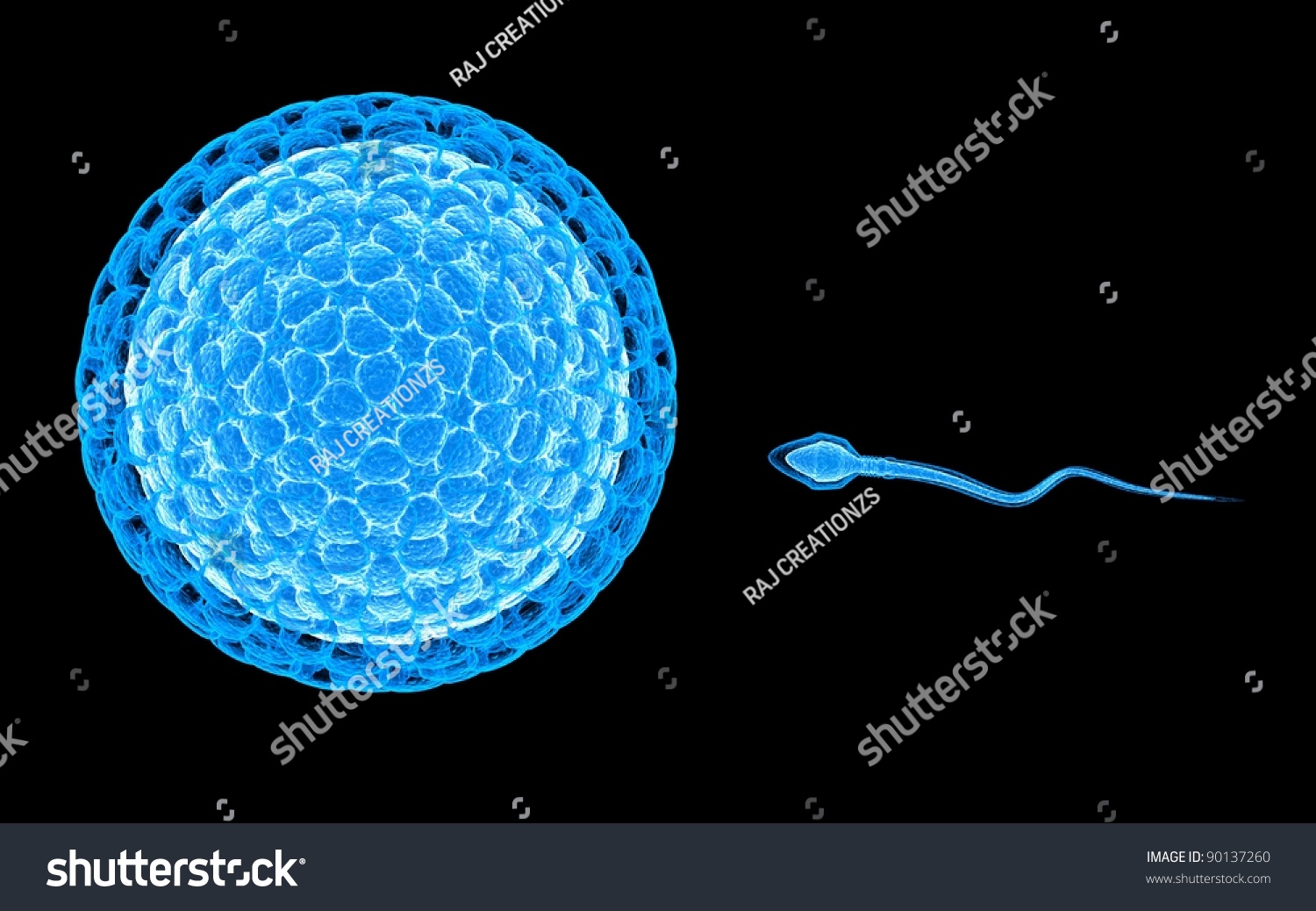 3d Sperm Swimming Toward Egg Dark Stock Illustration 90137260 ...