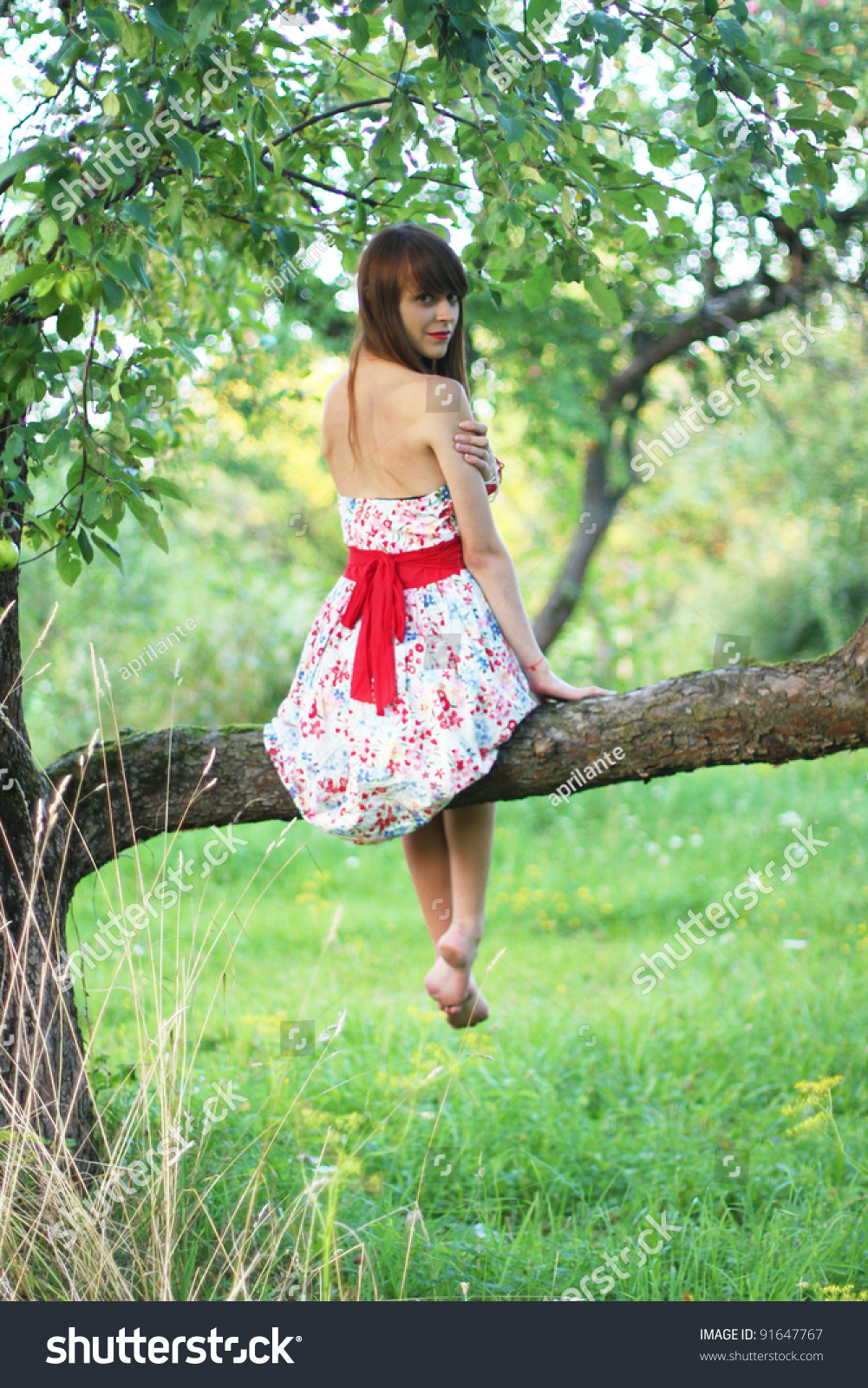 https://image.shutterstock.com/shutterstock/photos/91647767/display_1500/stock-photo-girl-sitting-on-a-tree-91647767.jpg