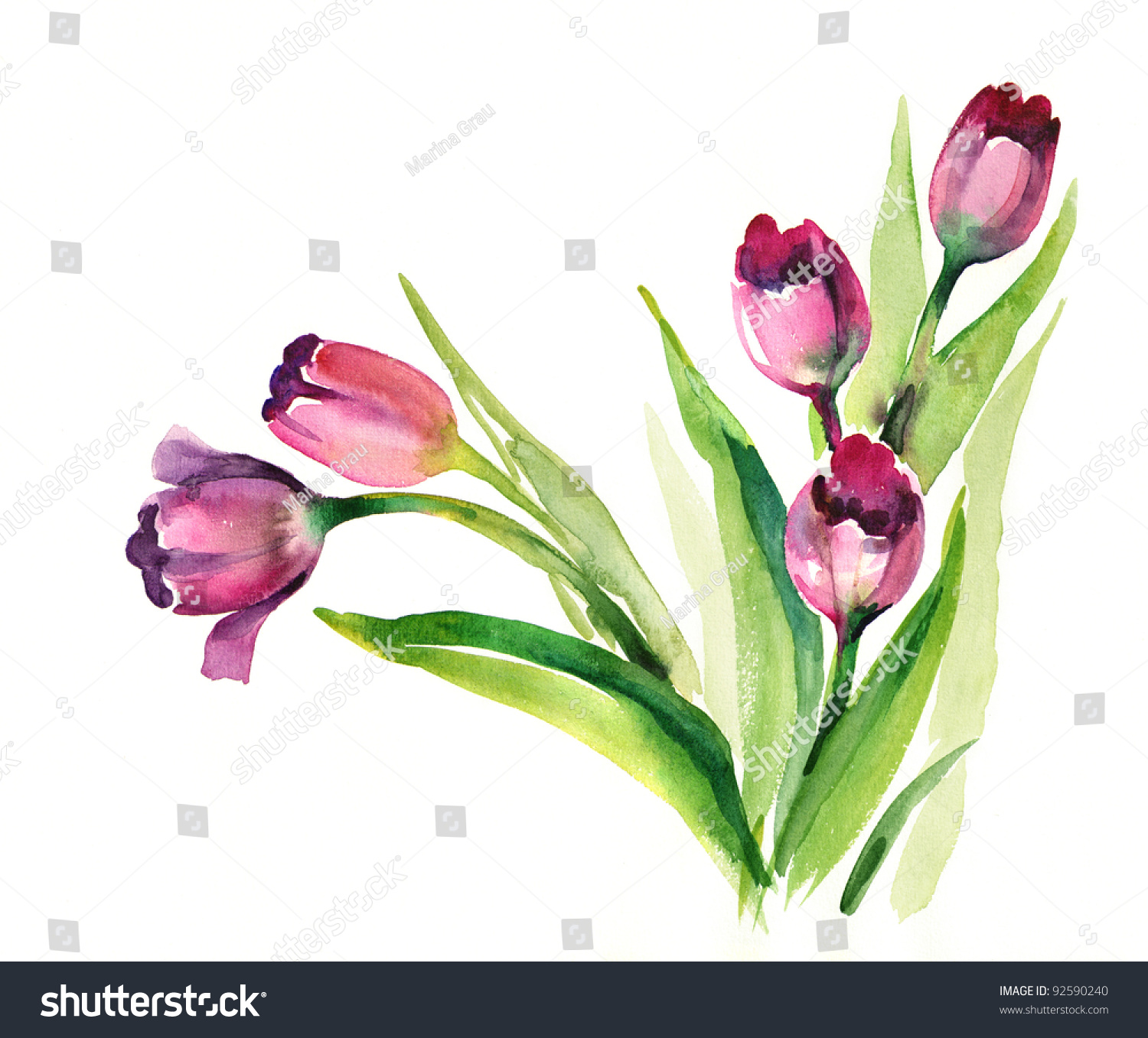 Фотообои акварель тюльпаны