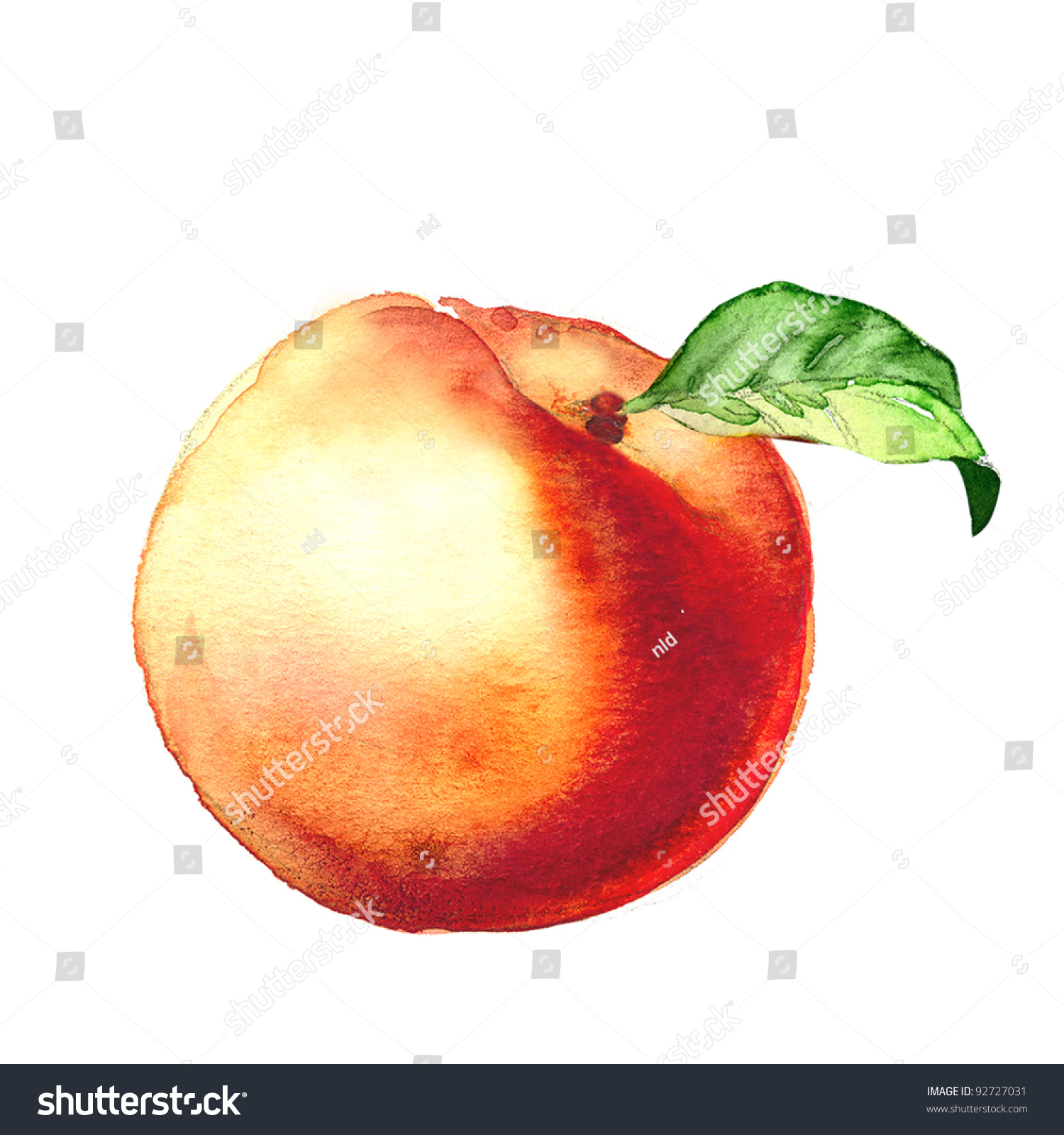 Персик акварелью
