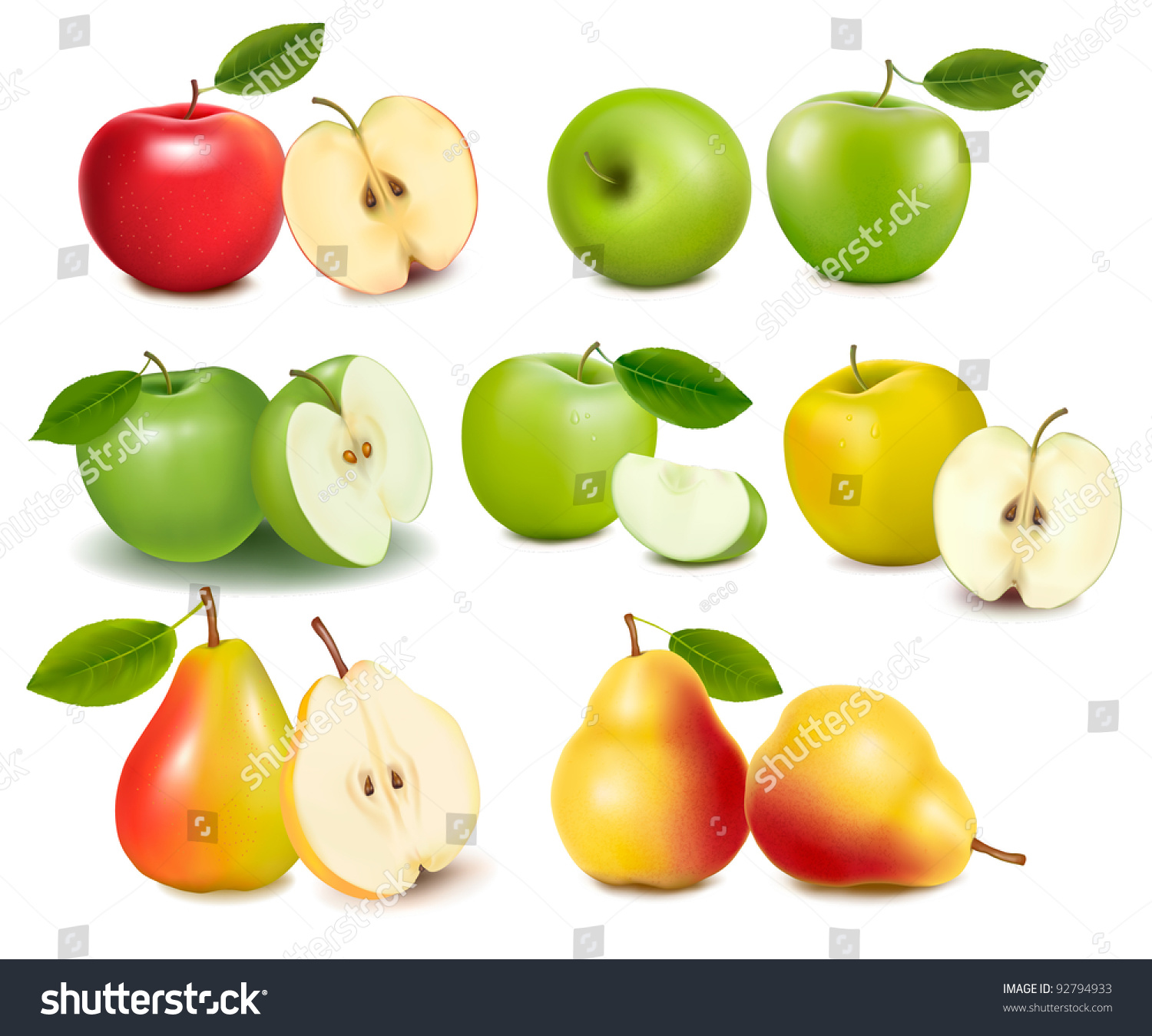 Set Red Green Apple Fruits Cut Stock Vector (Royalty Free) 92794933 ...