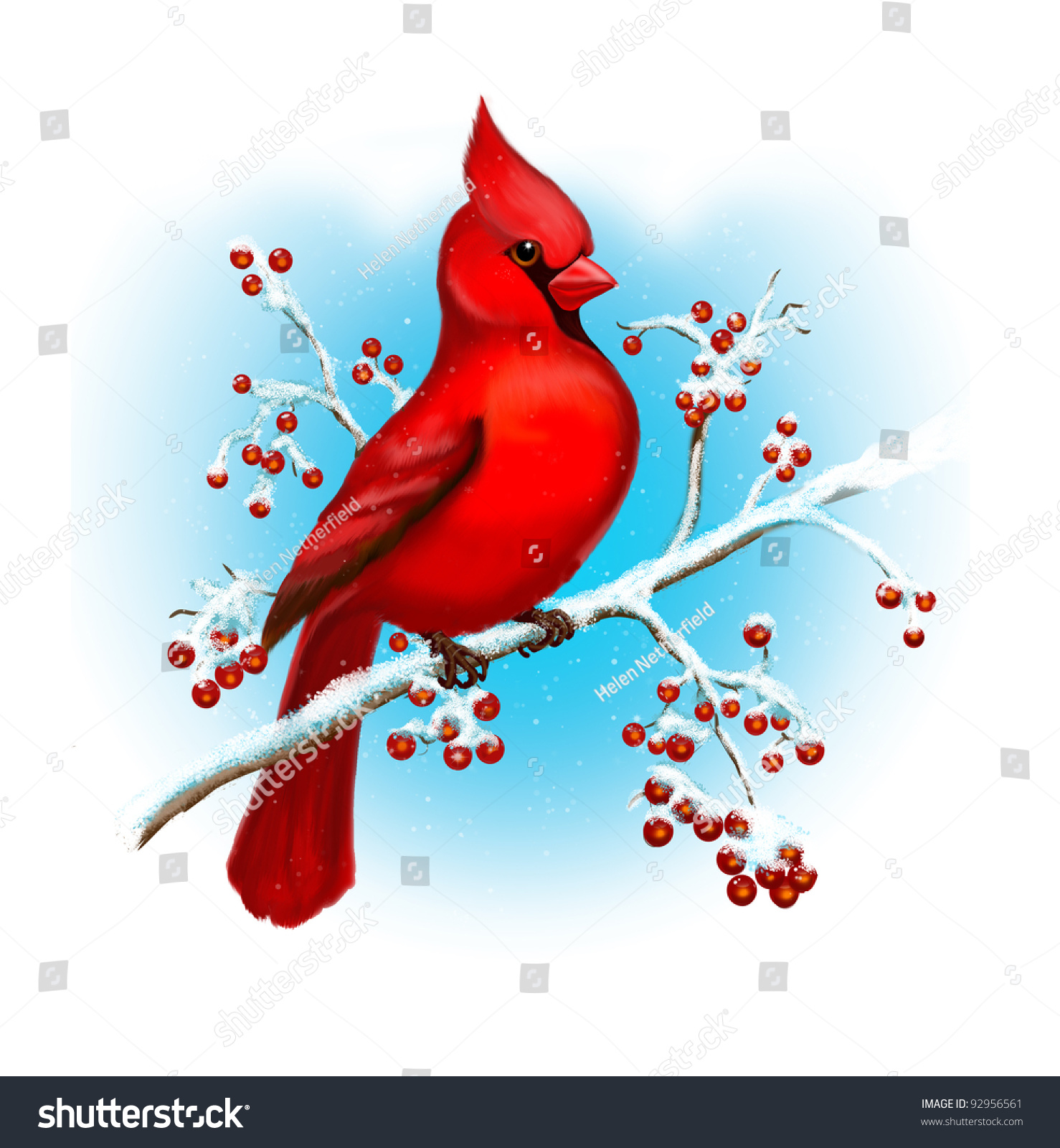 Птица красная и птица синяя