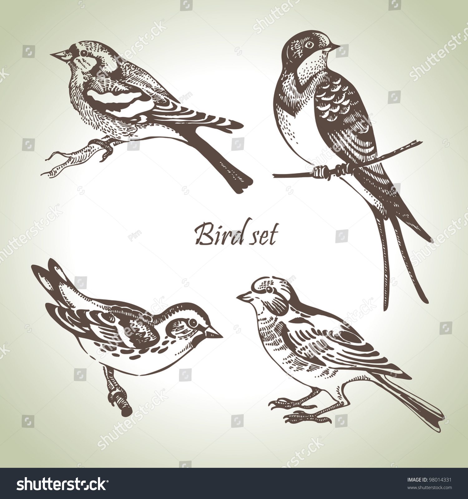 Bird Set Handdrawn Illustration Stock Vector (Royalty Free) 98014331 ...