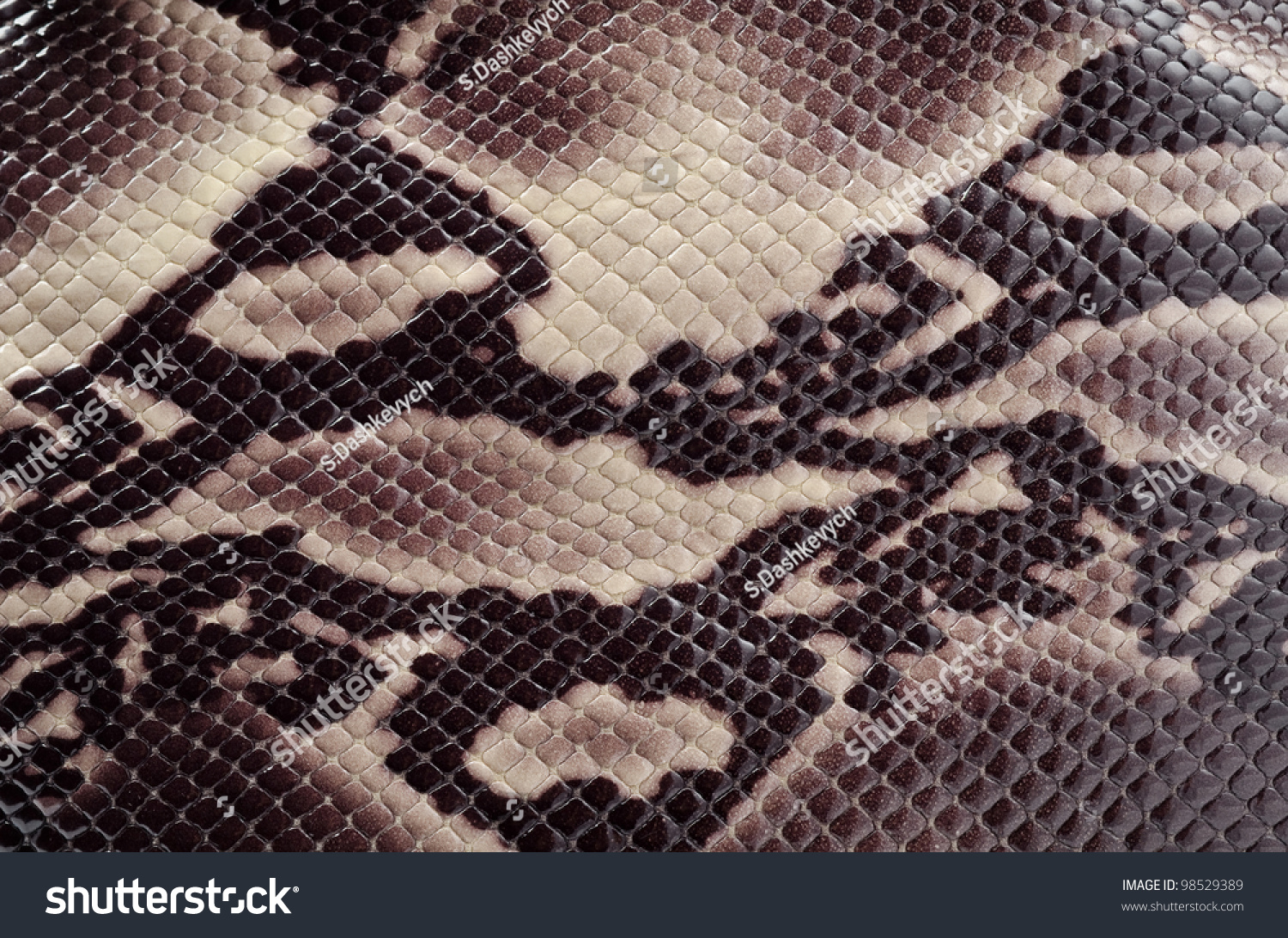 Seamless Texture Background Brown Snake Leather Stock Photo 98529389 ...