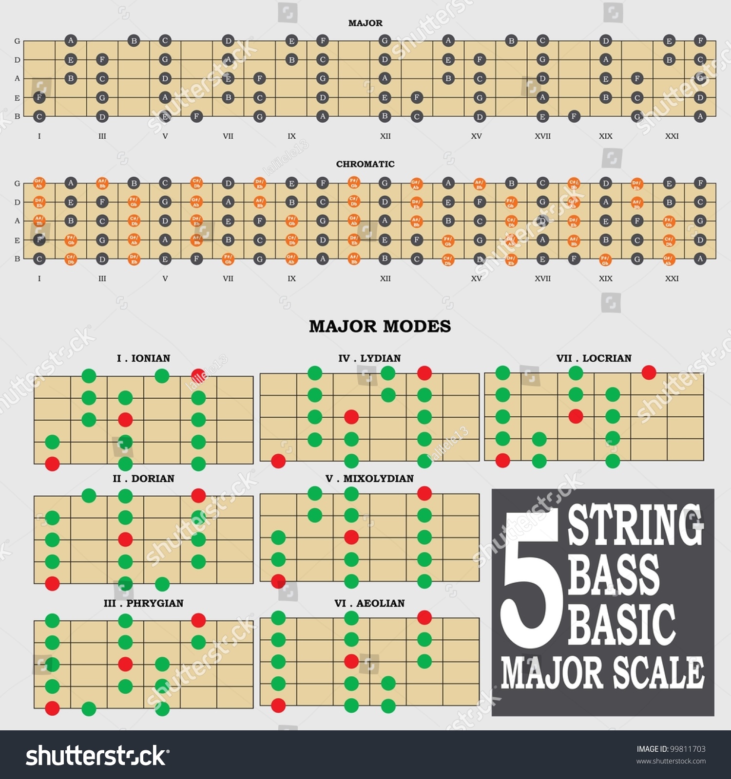 5 string bass scale