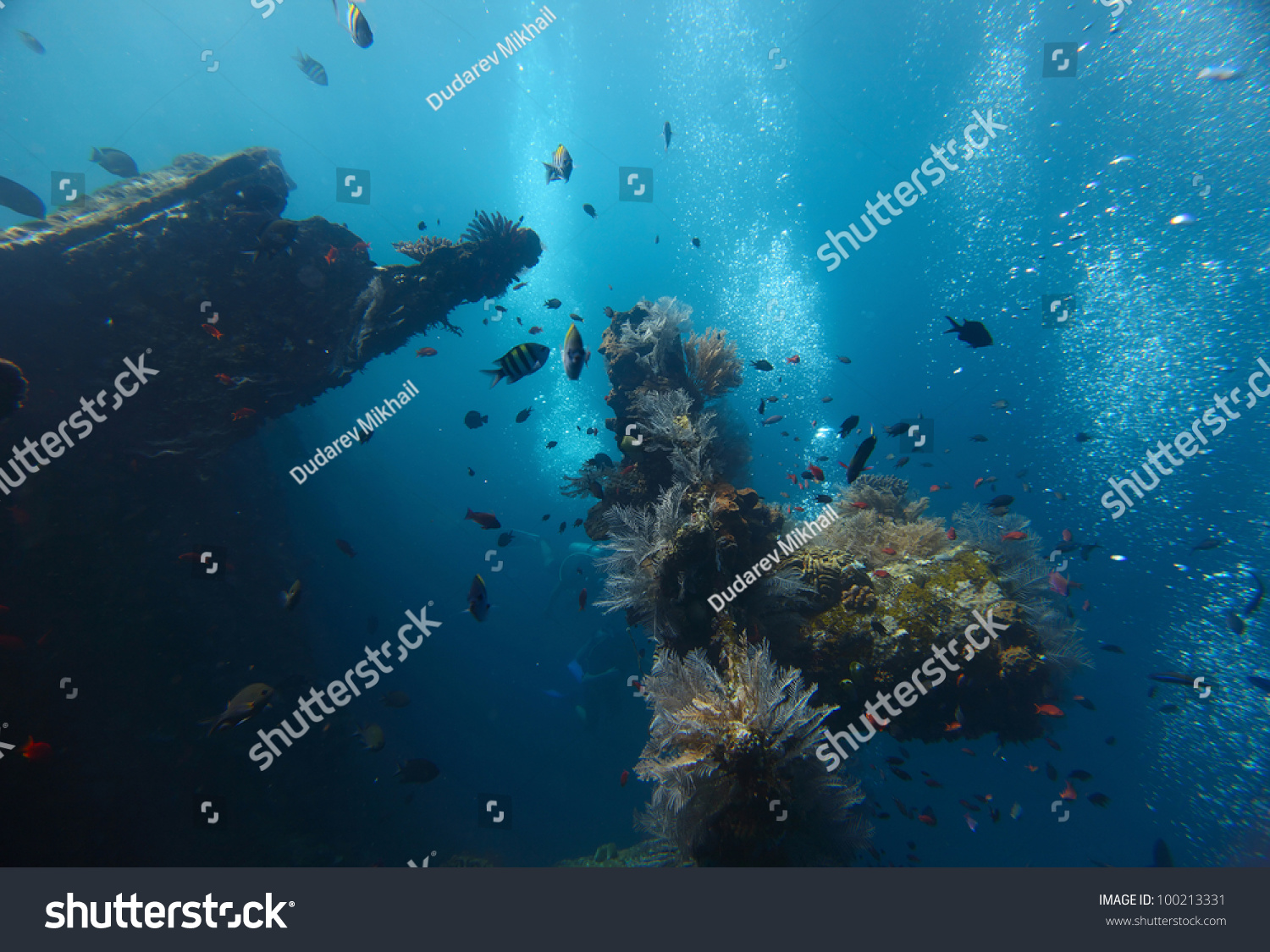 Shipwreck USAT Liberty (Tulamben, Indonesia) underwater shoot #100213331