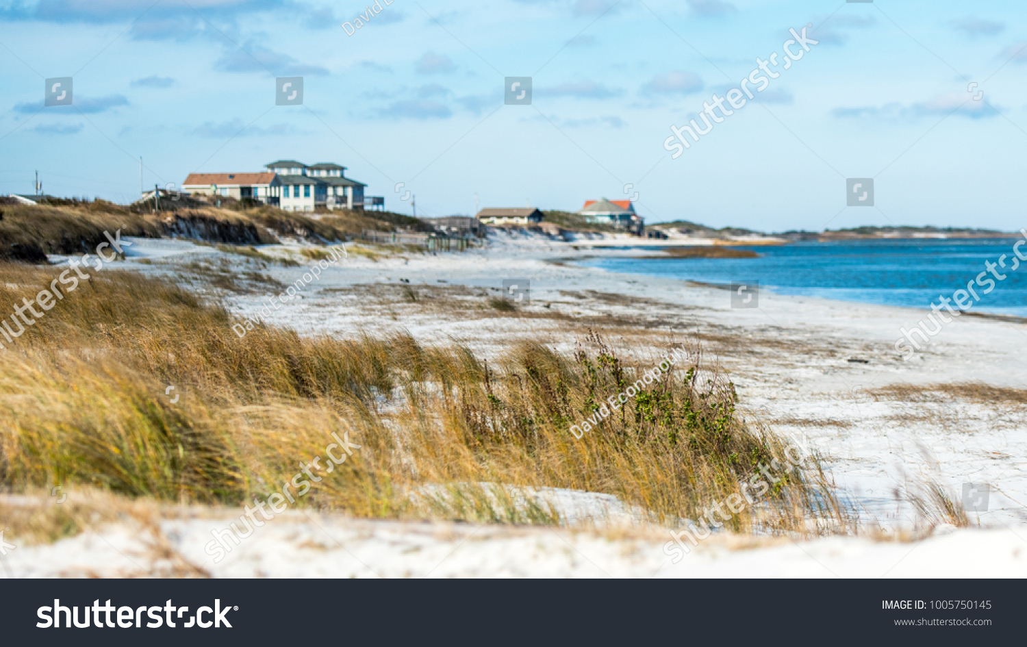 Beach Front Houses at the coast of North Carolina with sand, sea grass and ocean in the foreground. #1005750145
