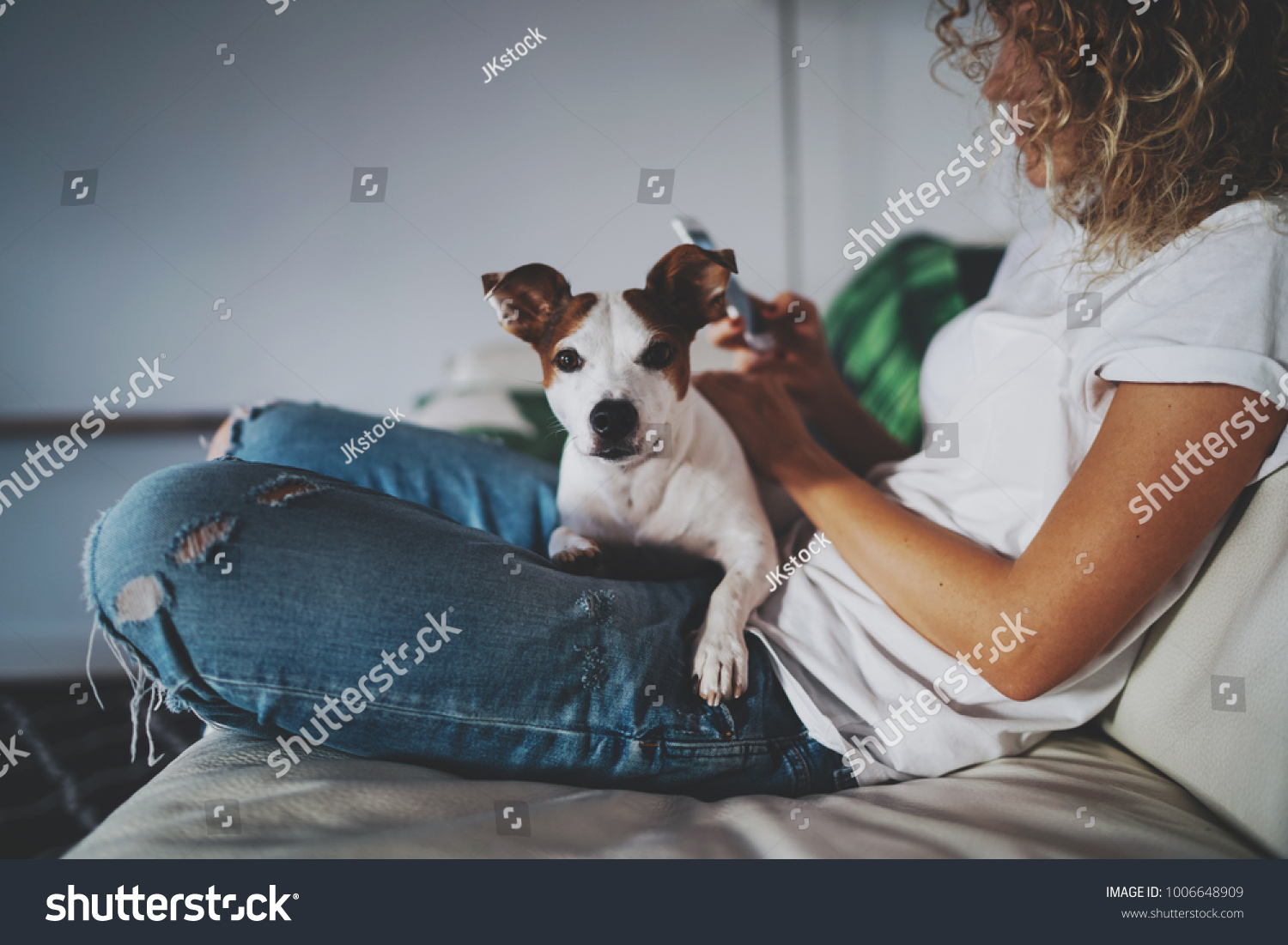 Cropped photo of a young blonde girl resting while sitting with her dog on the couch and using the modern cell phone. Hipster girl is shopping online with the application on her smartphone. #1006648909