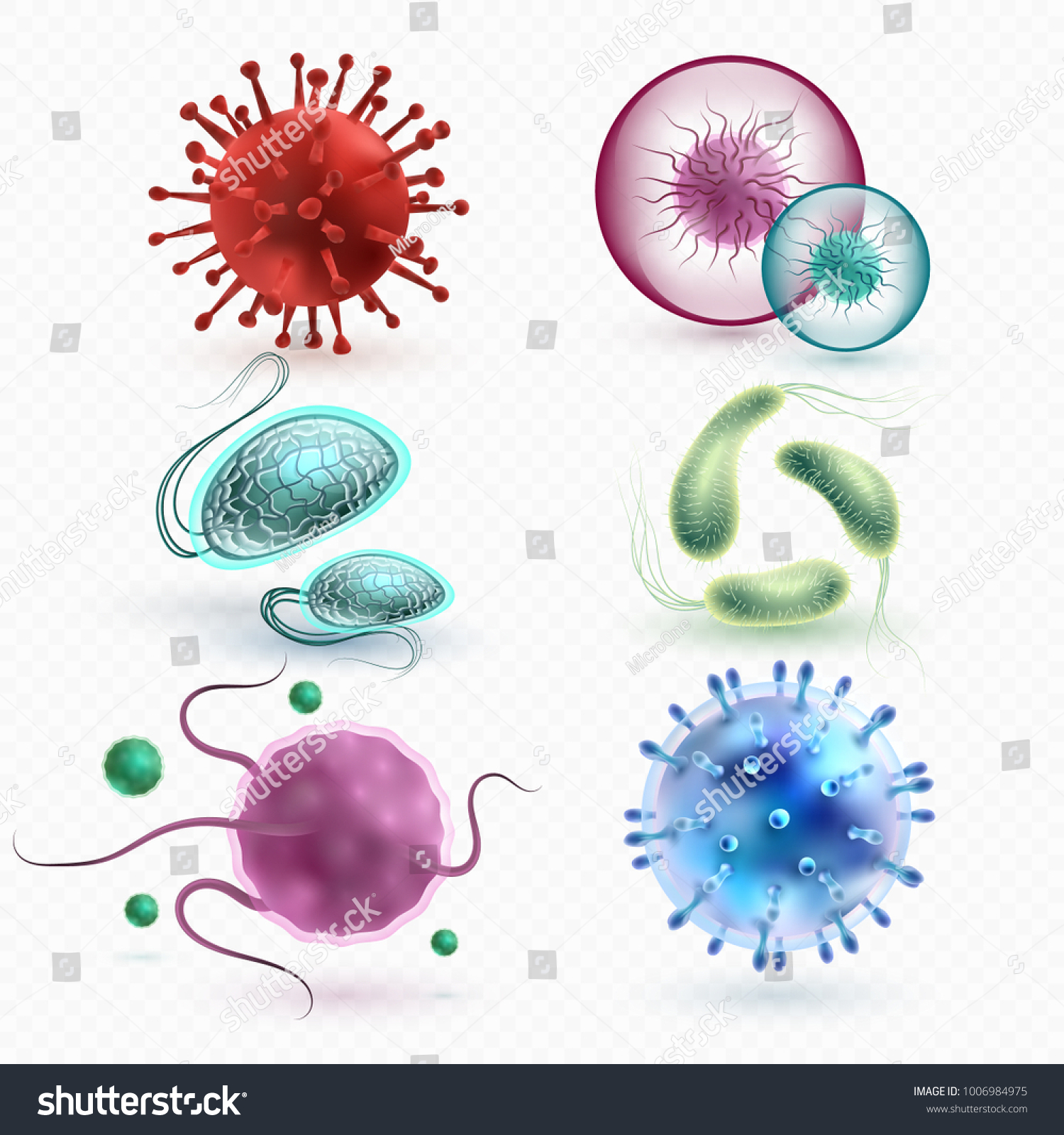 Realistic 3d microscopic viruses and bacteria isolated vector set. Microscopic cell illness, bacterium and microorganism illustration #1006984975