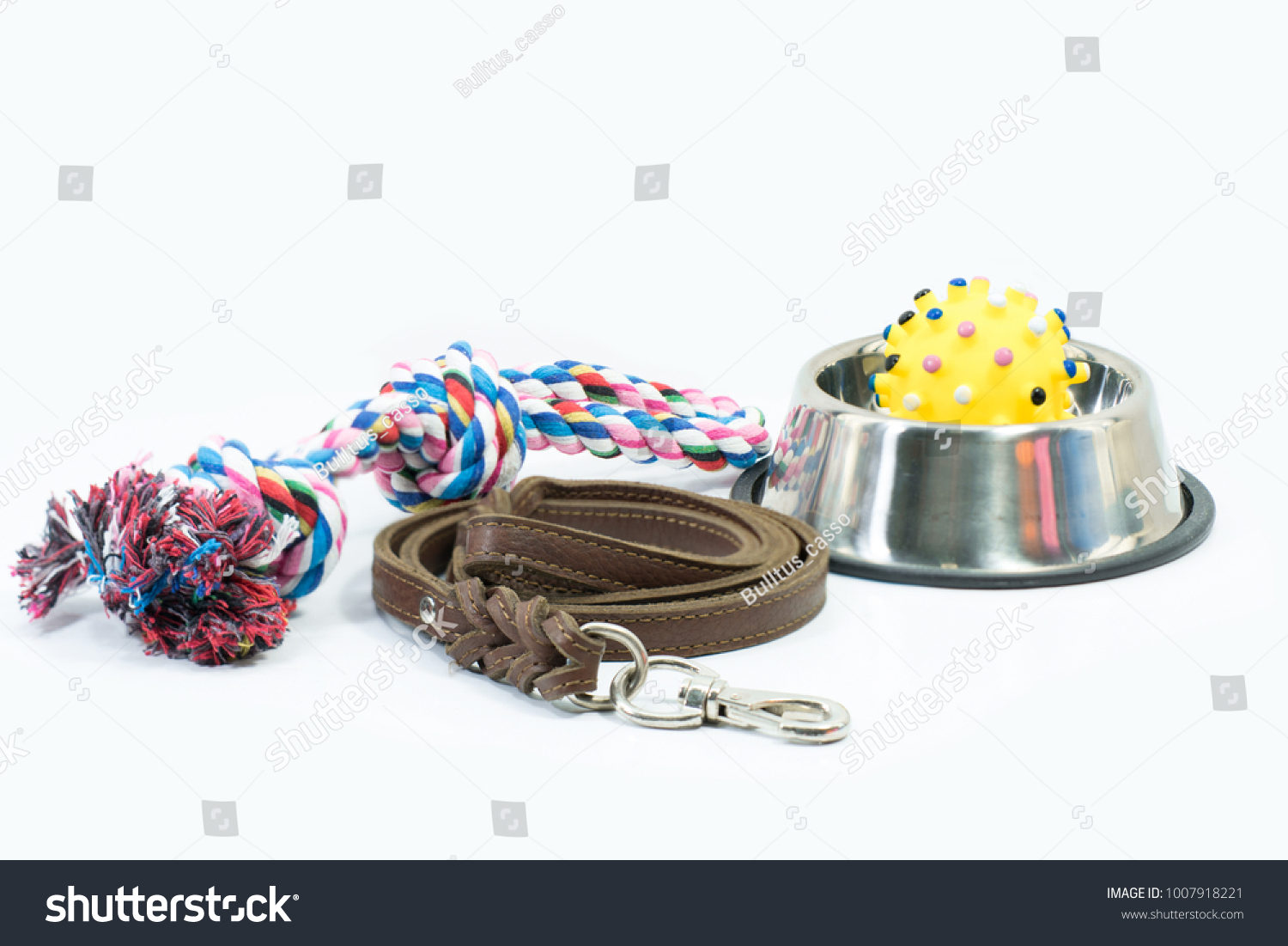 Pet supplies set about stainless bowl, rope, rubber toys and leather of leash for dog or cat on white background #1007918221
