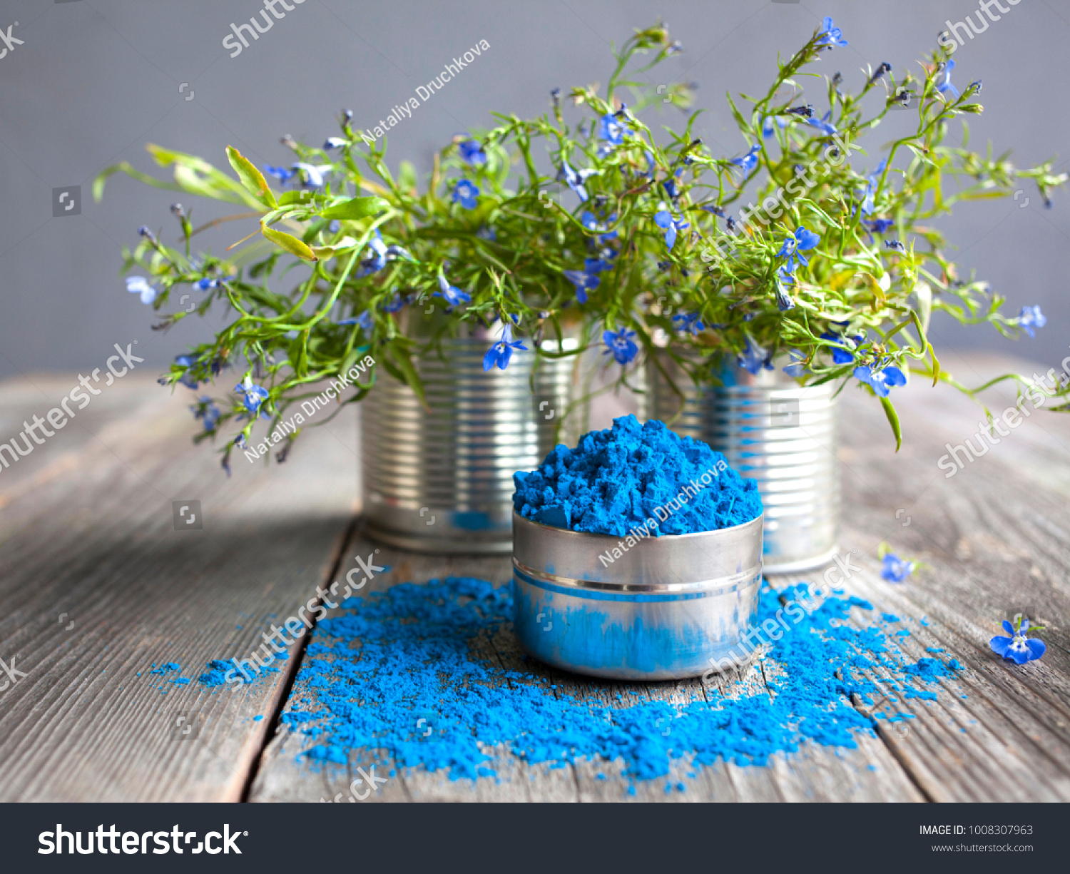 Bright blue colour for Indian holi festival. Colorful gulal (powder color) for Happy Holi with copy space. #1008307963