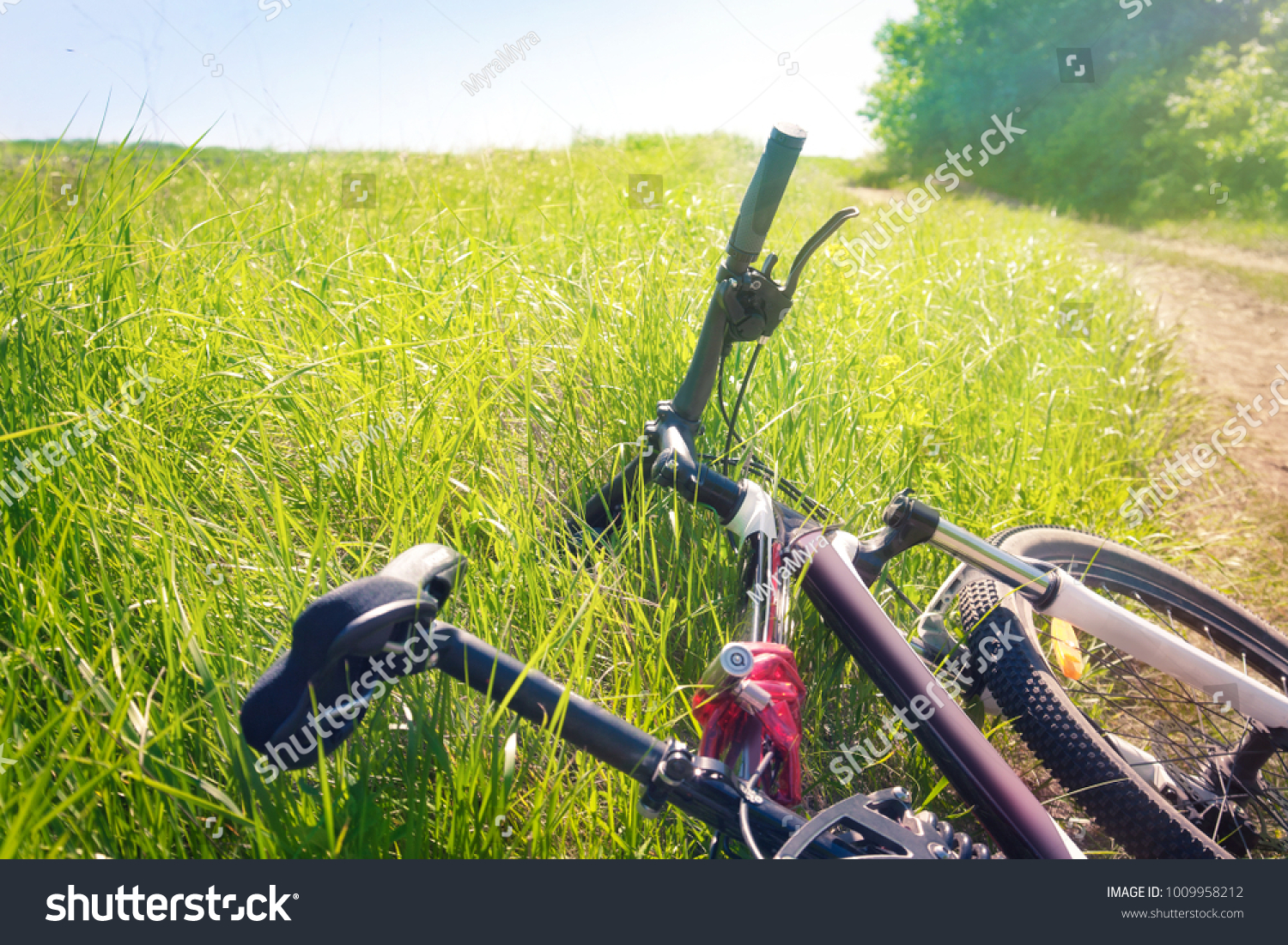 Tired bicycle lying in the grass at the roadside #1009958212