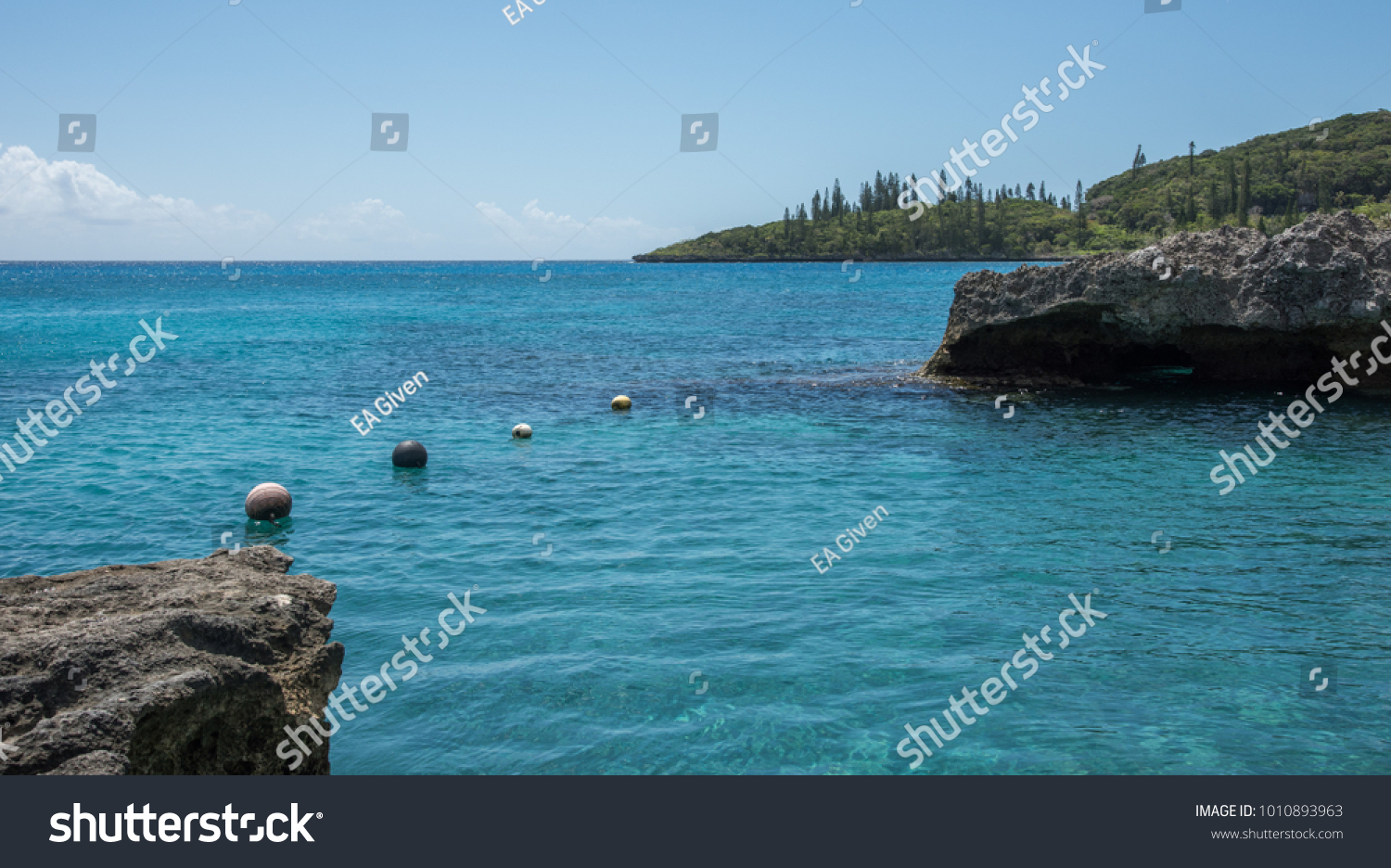 Stunning Tadine Bay with turquoise Pacific Ocean waters, lush greenery, rock and buoys on the coast of Mare, New Caledonia #1010893963