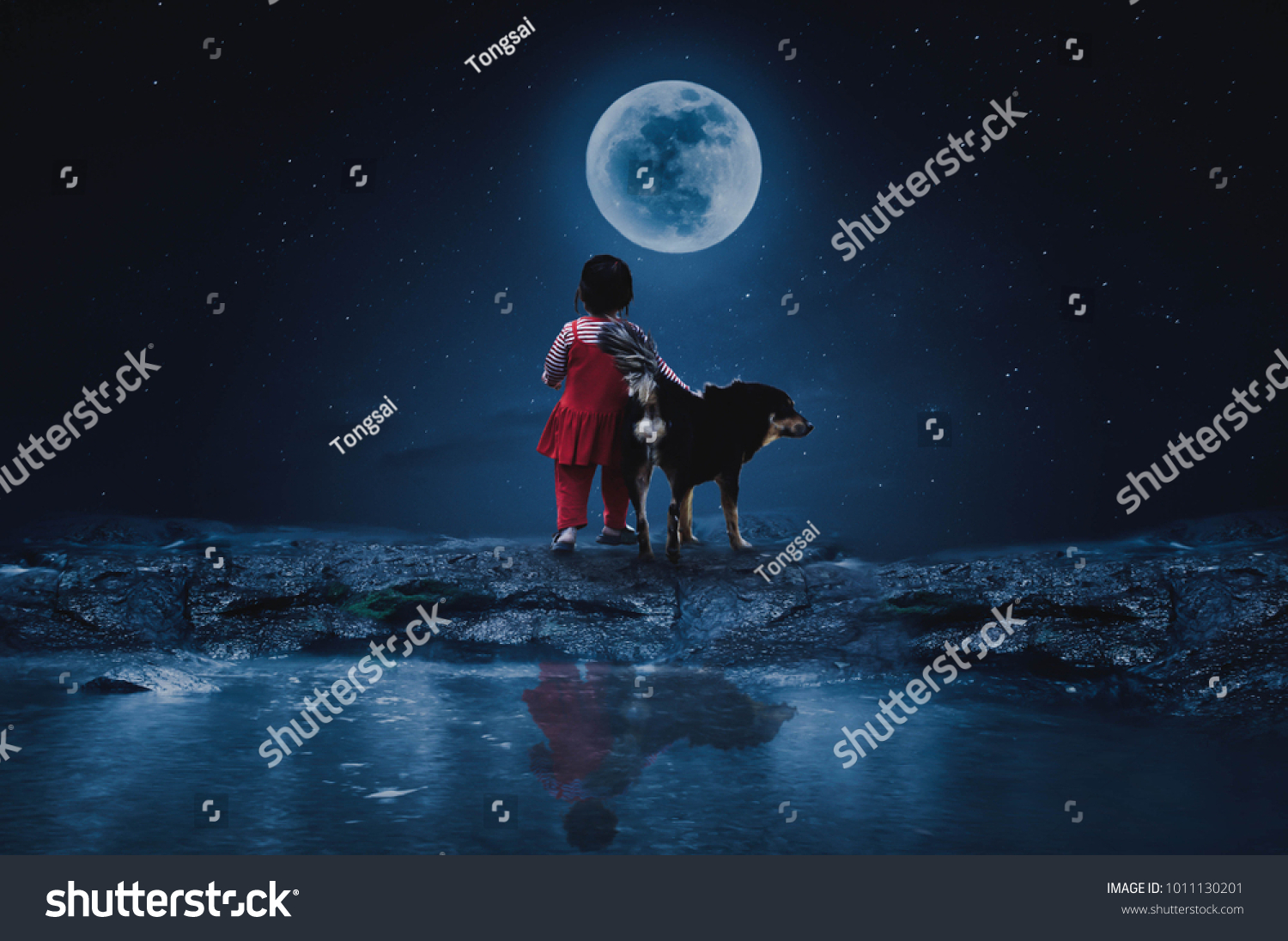 Little Red Riding Hood with a wolf watching the full moon on a lonely night. #1011130201