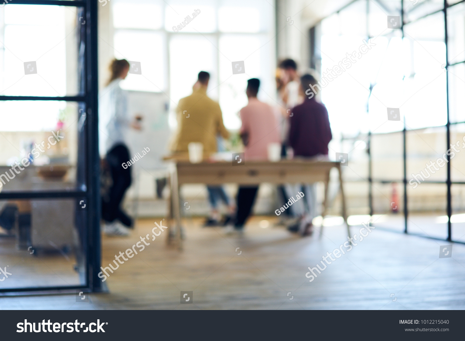 Blurred image, people silhouette collaborating in office interior. Defocused space for your information, teamwork process. Group of coworkers discussing ideas. Colleagues having informal work meeting #1012215040