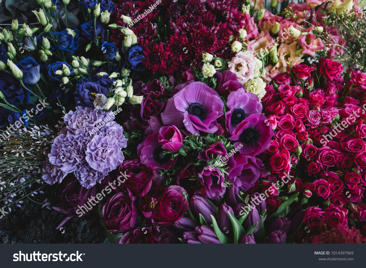 Beautiful and tender blossoming and endless fresh flowers at the florist shop in lavender, pink and purple colors #1014397969