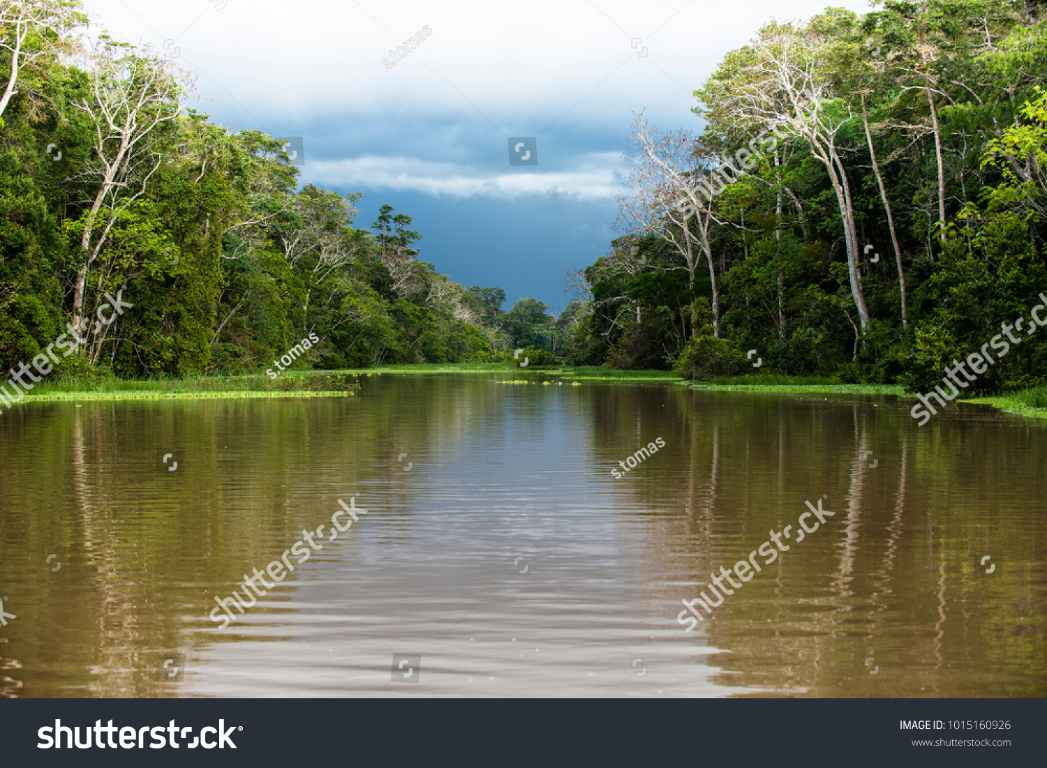 The Amazon River, in South America is the largest river in the world by lenght and discharge volume of water. It flows throug Brazil, Peru, Bolivia, Colombia, Ecuador, Venezuela and Guyana. #1015160926