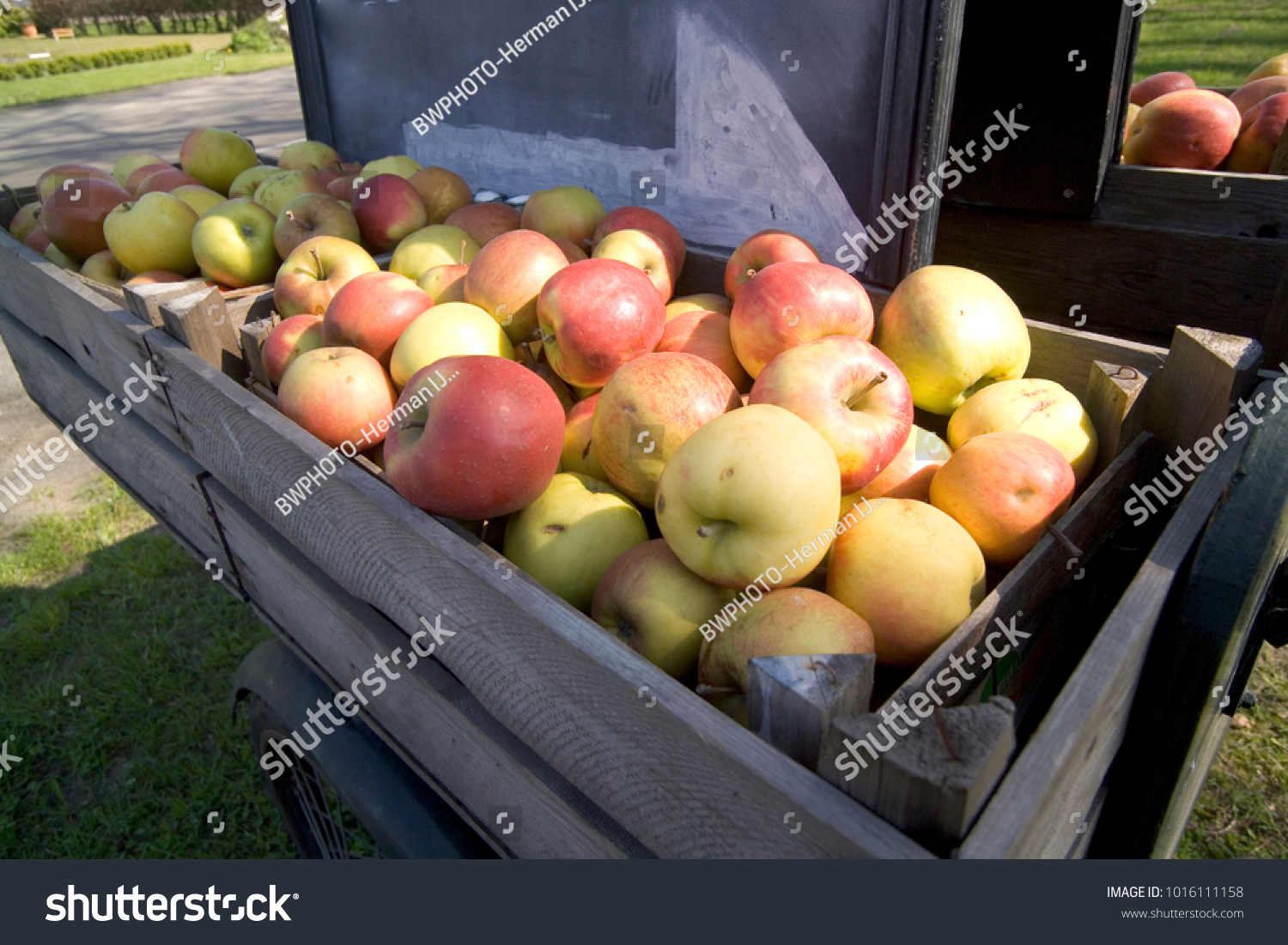 Apples for sale in wooden crates #1016111158