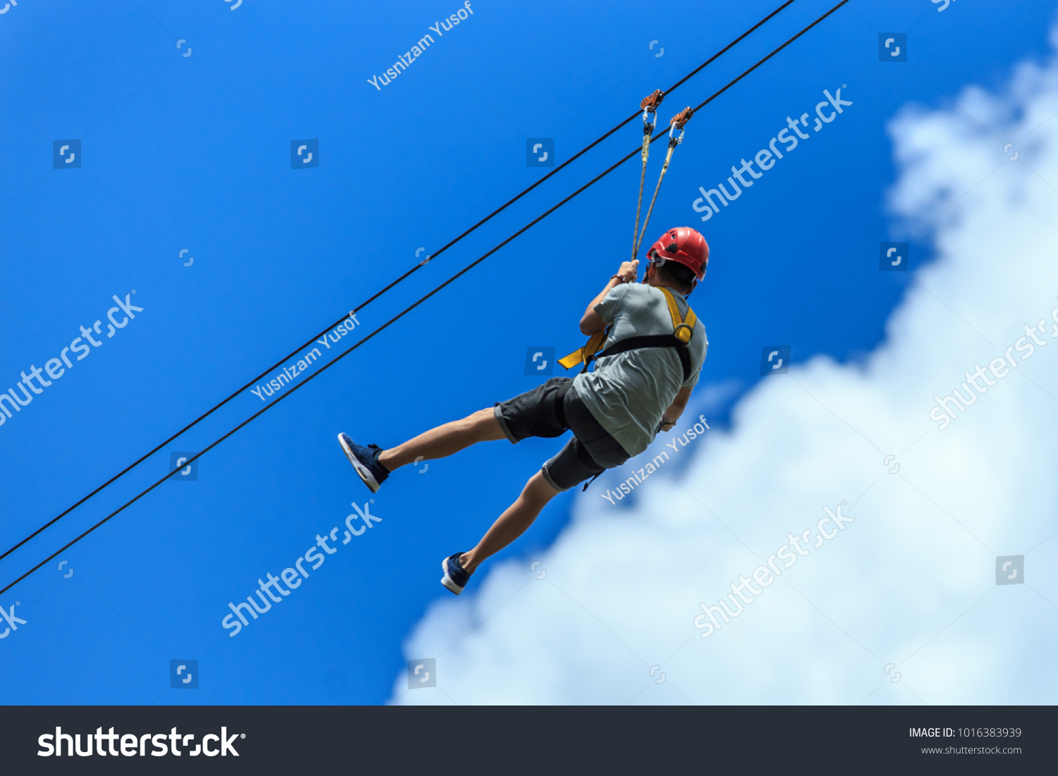 Man enjoying Zipline adventure in Sabah Borneo, Malaysia #1016383939