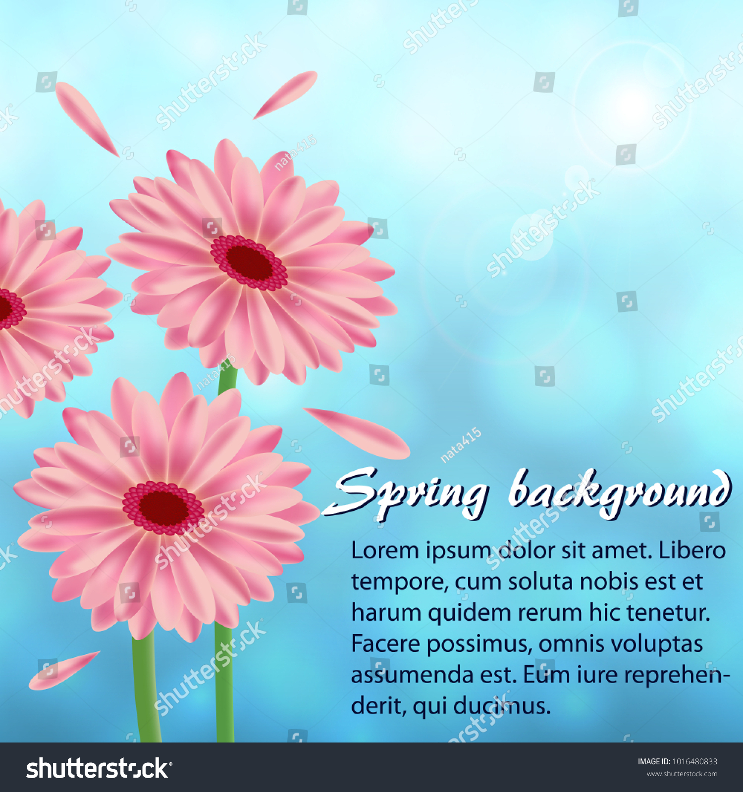 Abstract spring background with gerberas #1016480833