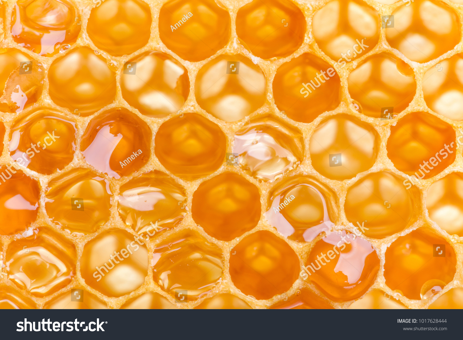 Extreme macro shot of a honey filled honeycomb #1017628444