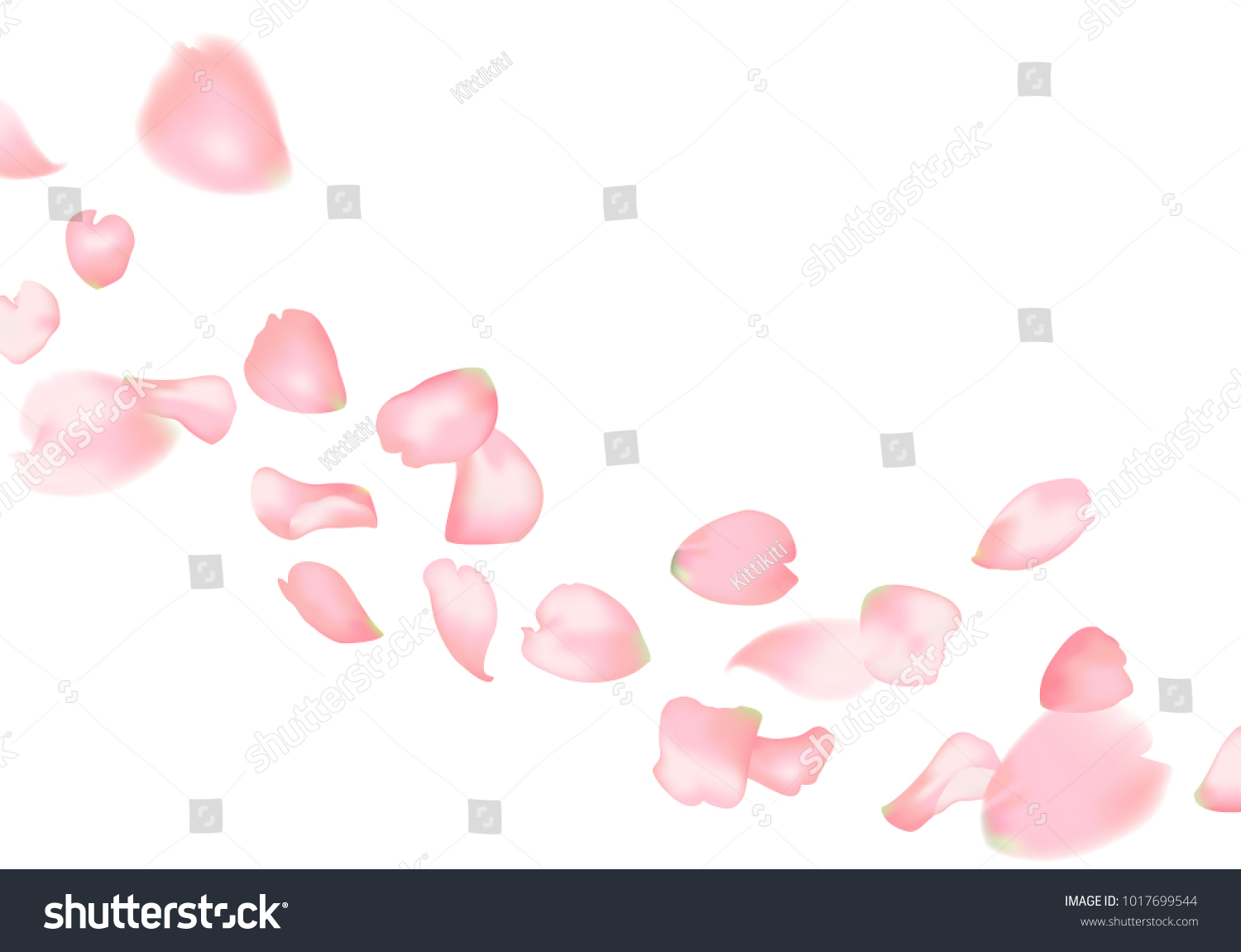 Pink sakura or rose falling petals #1017699544