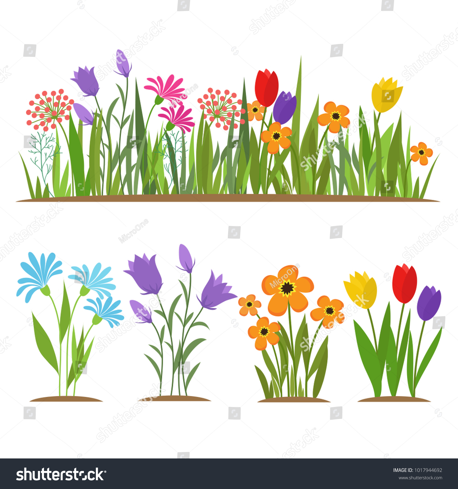 Early spring forest and garden flowers isolated on white vector set. Illustration of nature flower spring and summer in garden #1017944692