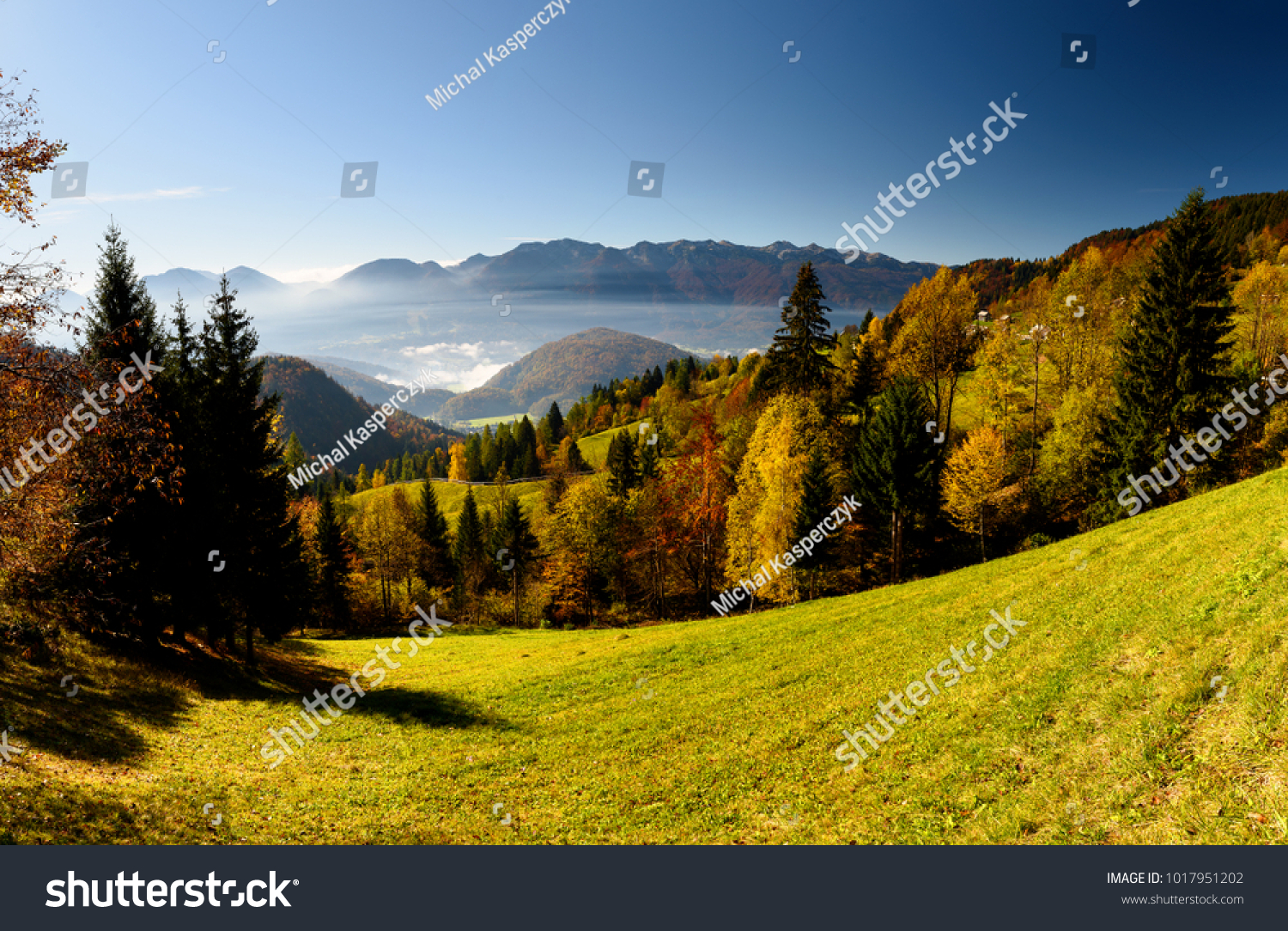 View from Pokljuka Plateau, Slovenia. #1017951202
