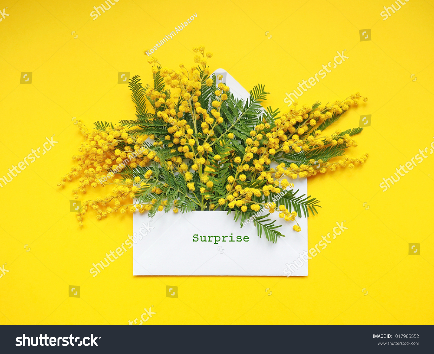 Brunches of beautiful Mimosa flower on yellow background #1017985552