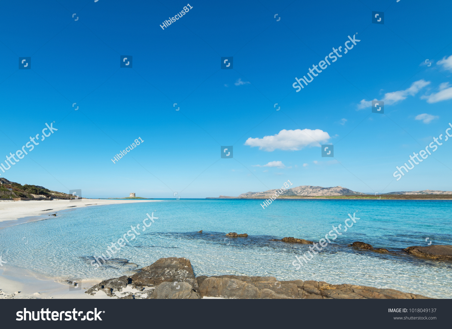 rocks and sand in La Pelosa beach, Sardinia #1018049137