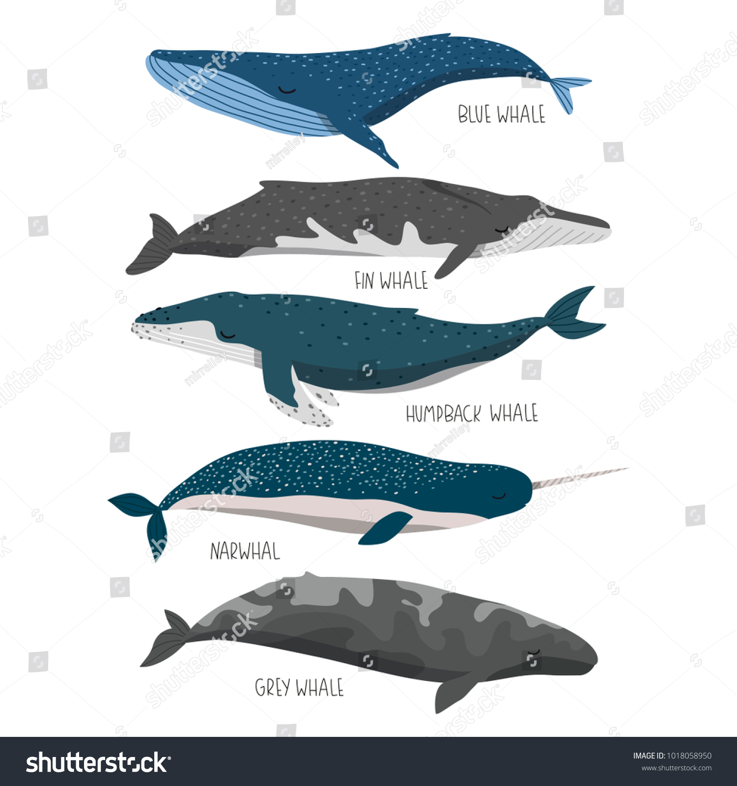 set of cute cartoon whales. blue, fin, humpback, - Royalty Free Stock ...