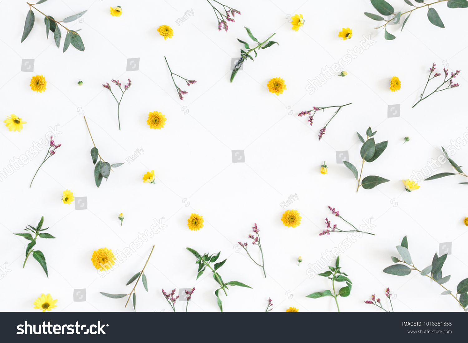 Flowers composition. Round frame made of yellow and pink flowers, eucalyptus branches on white background. Flat lay, top view, copy space. #1018351855