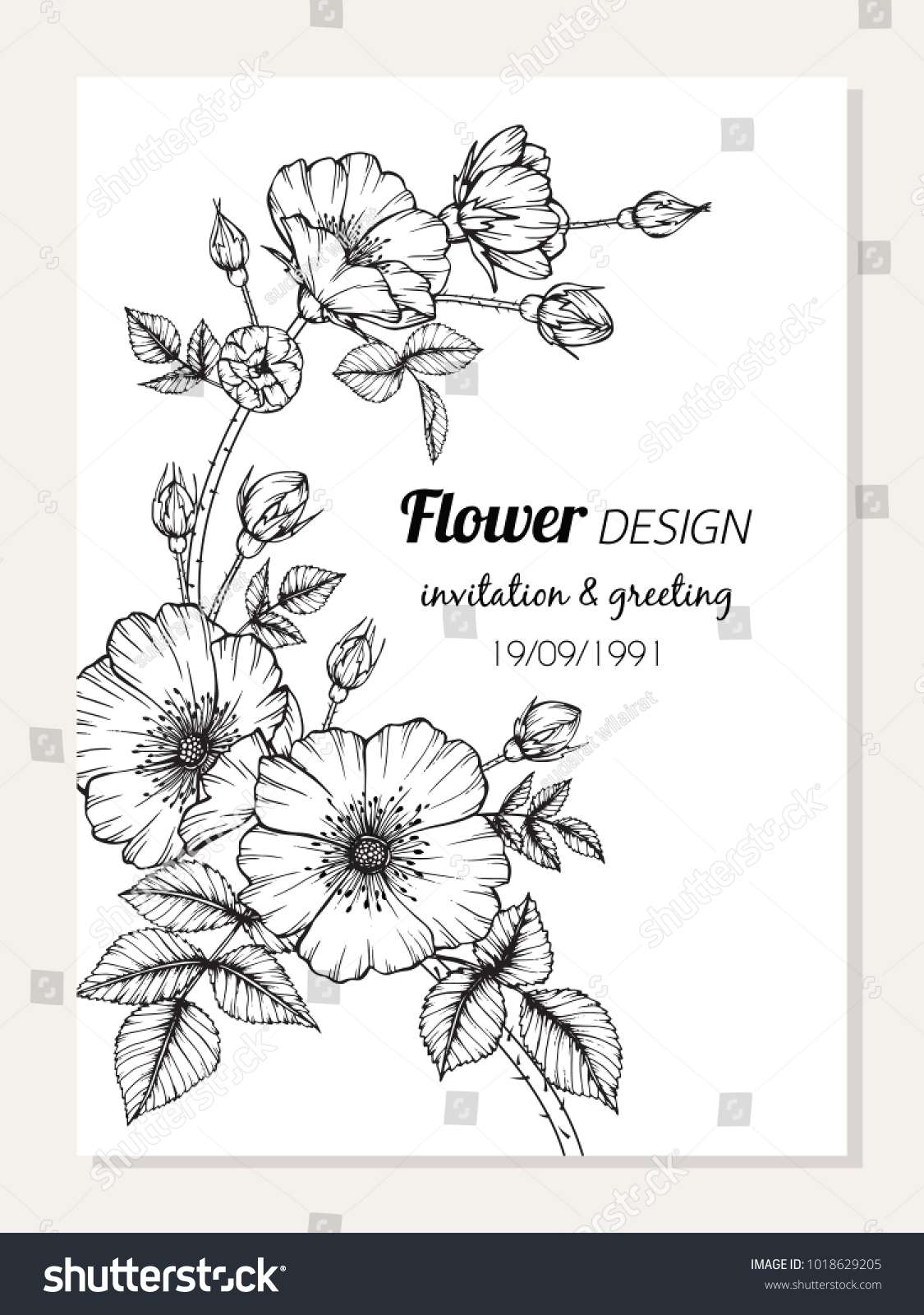 Invitation and greeting card design with Roses flower drawing  illustration.  #1018629205