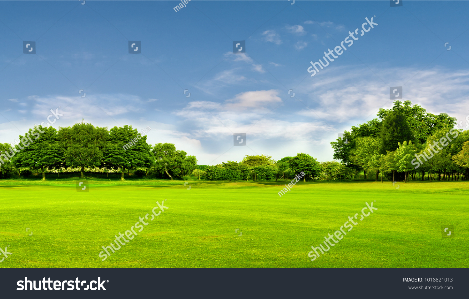 Green field, tree and blue sky.Great as a background,web banner #1018821013