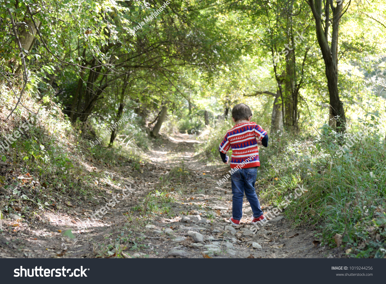 Cheerful little boy runs and play on country road in forest #1019244256