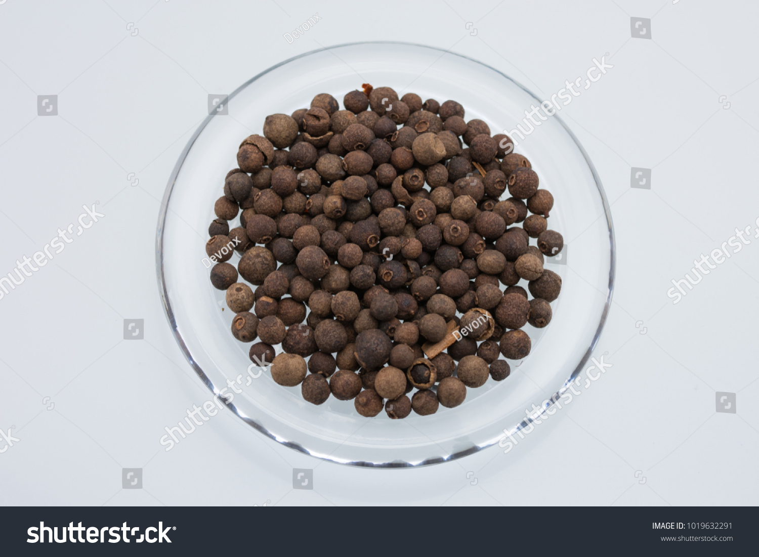 Aromatic allspice isolated #1019632291