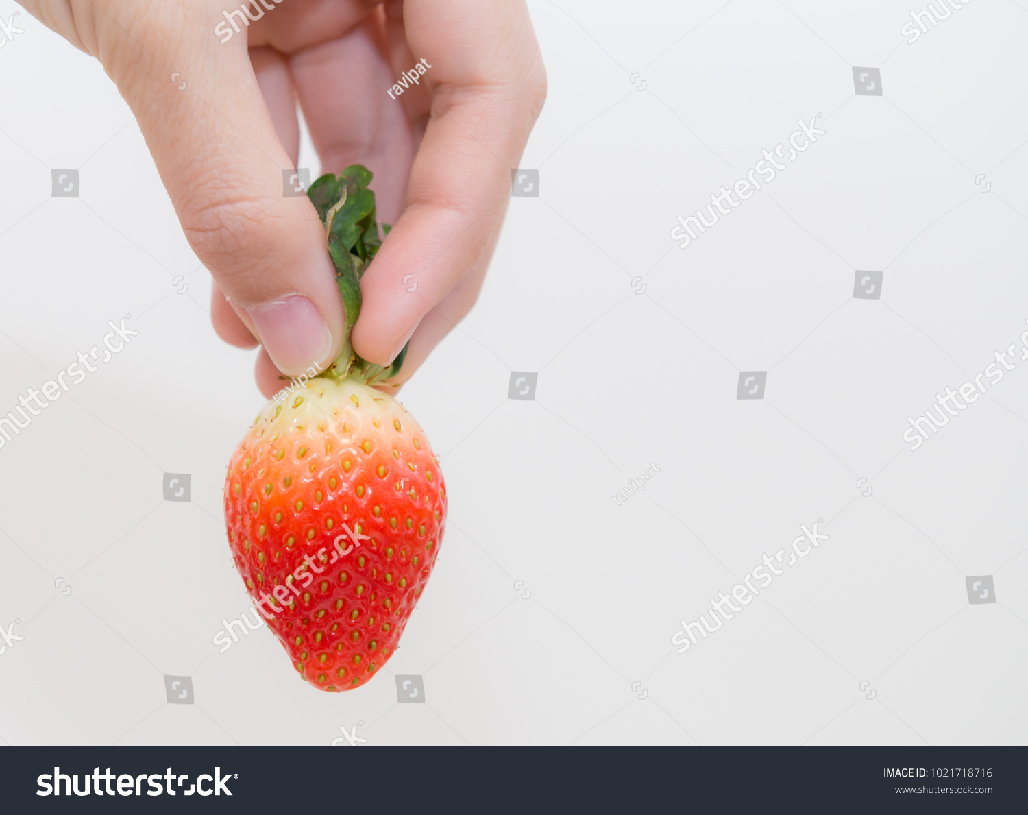 Hand holding strawberry on white background,Fresh strawberry in hand on white background, #1021718716
