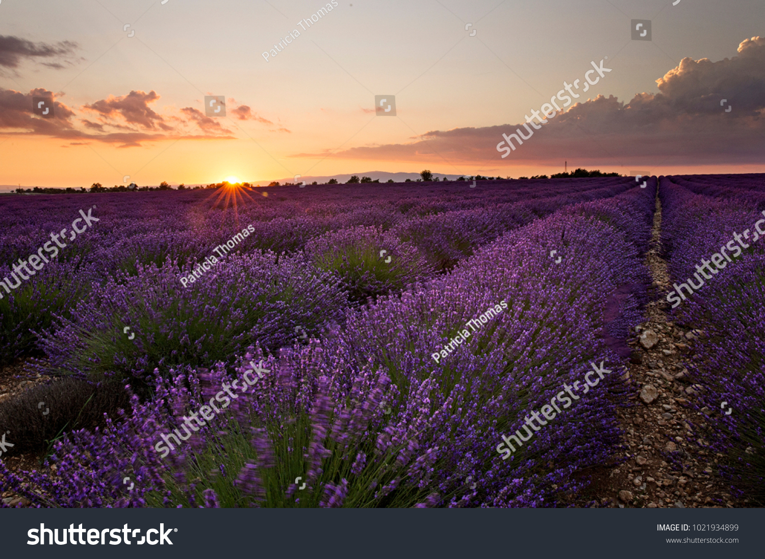 Sunset over the valley near Valensole, France #1021934899
