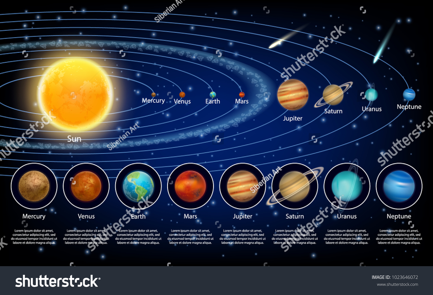 Solar system planets set. Vector realistic illustration of the sun and eight planets orbiting it. #1023646072