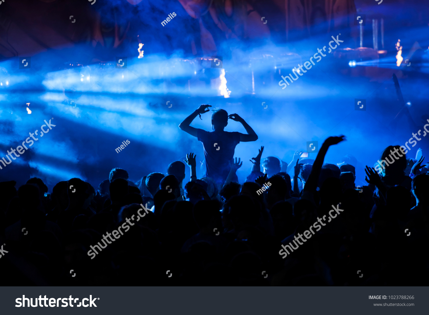 Crowd at concert - Cheering crowd in front of bright colorful stage lights #1023788266