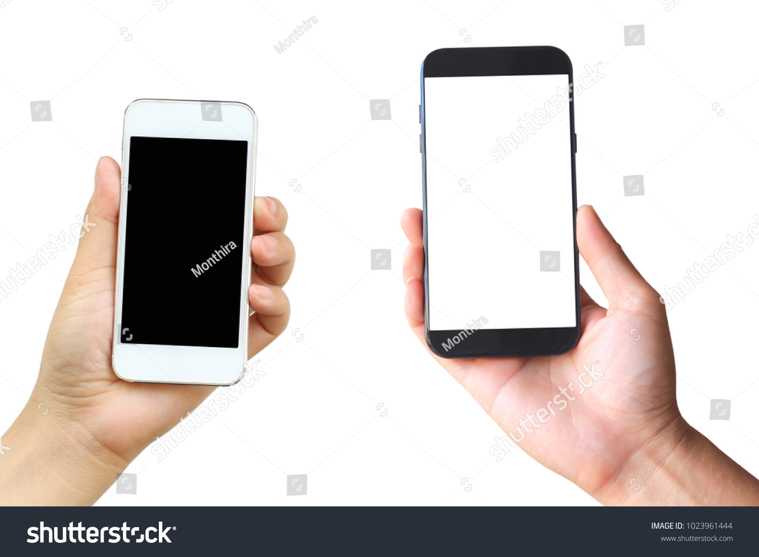 Hand holding blank smart phone on white background #1023961444