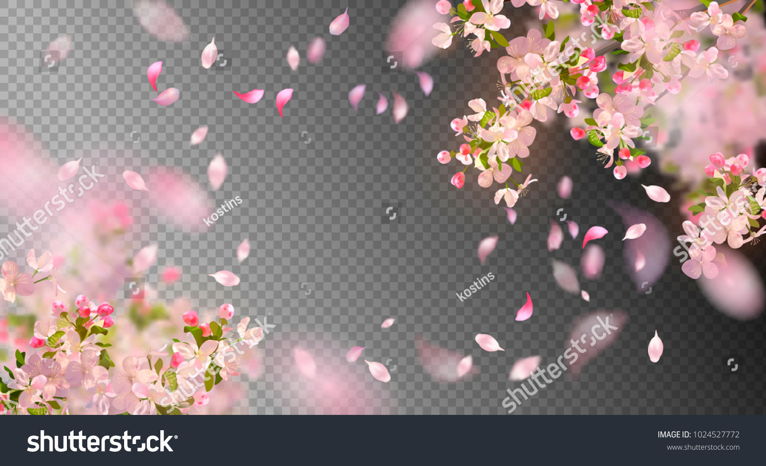 Vector background with spring cherry blossom. Sakura branch in springtime with falling petals and blurred transparent elements #1024527772