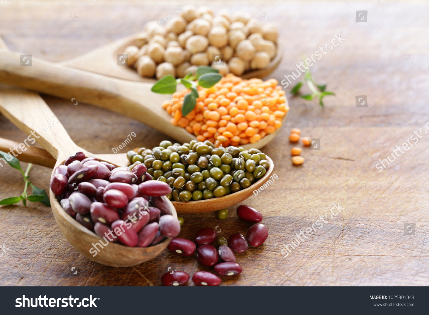 various kinds of legumes - beans, lentils, chickpeas, mung beans #1025301043