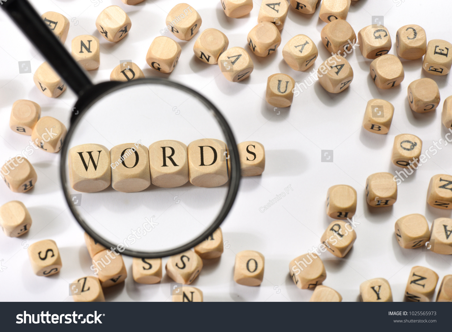 Words word on wooden cubes. Words concept #1025565973