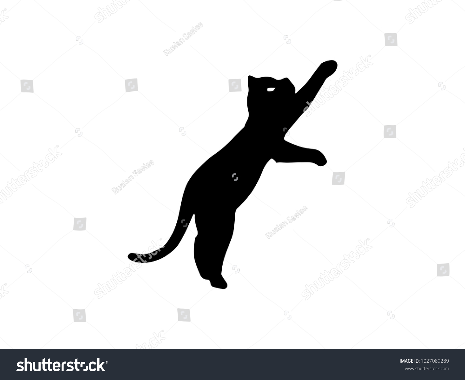Cat logo black isolate on white background. Cat vector template concept illustration. #1027089289