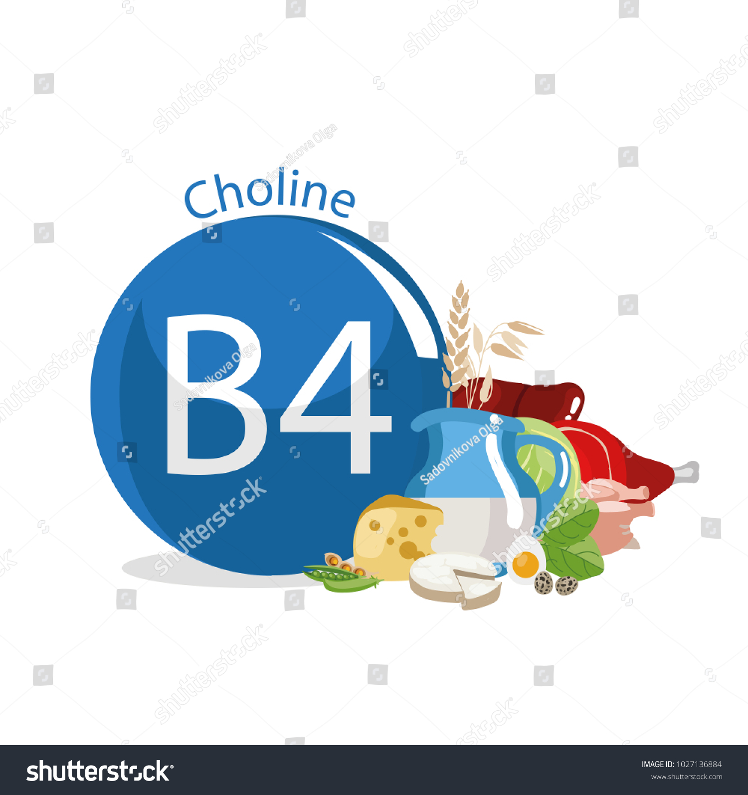 Vitamin B4 Choline Food Sources Natural Royalty Free Stock Vector 1027136884