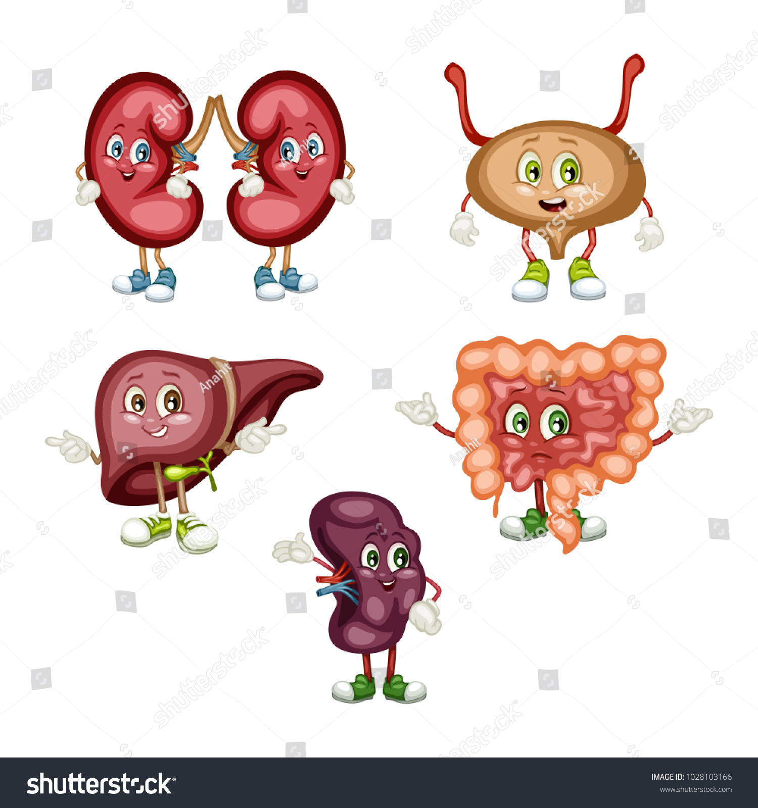 Cartoon Illustration of a Kidney, Intestine, - Royalty Free Stock ...