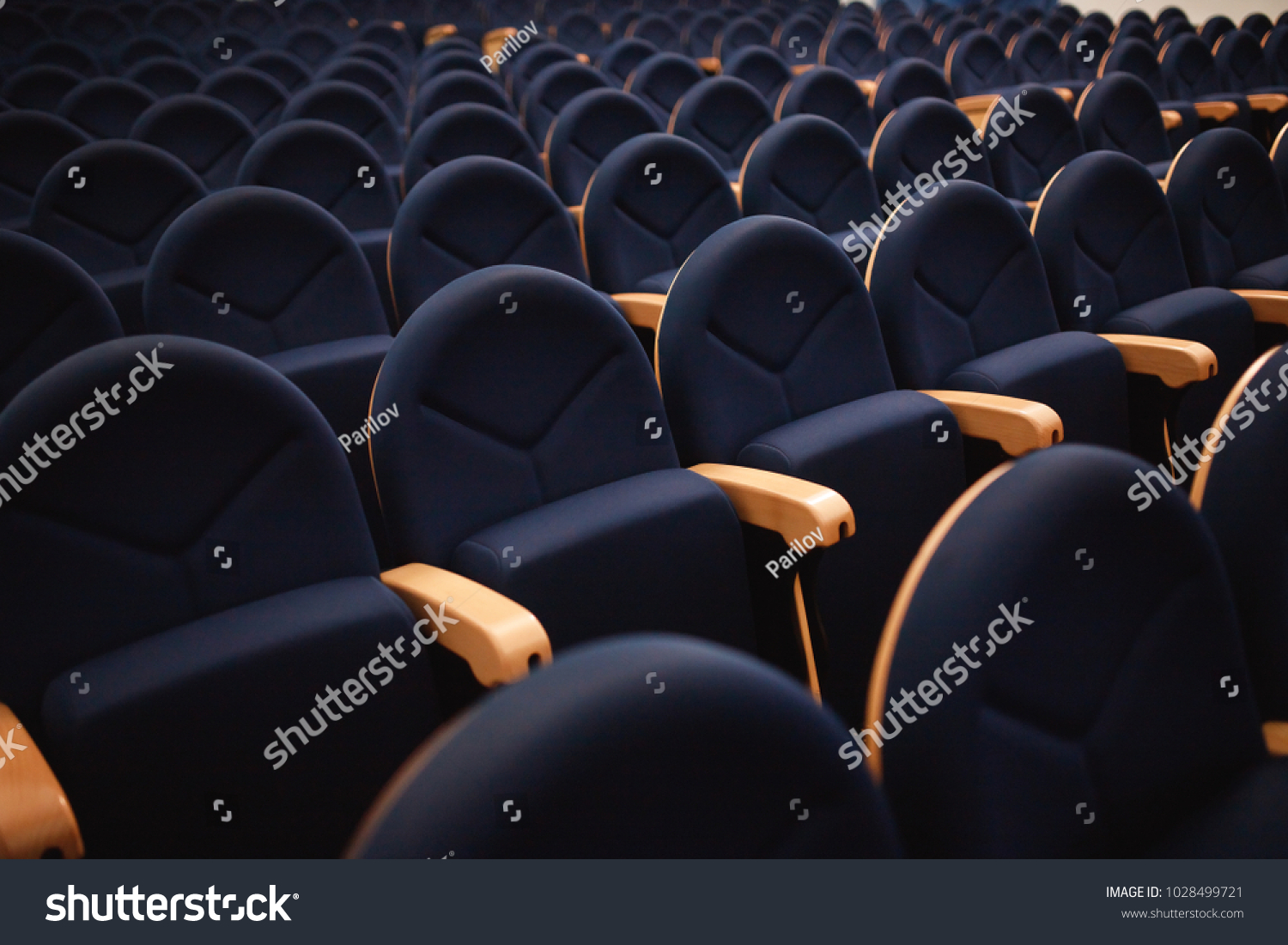 Seats are arranged in row in hall of opera, theater, cinema. Comfortable and soft chairs. #1028499721