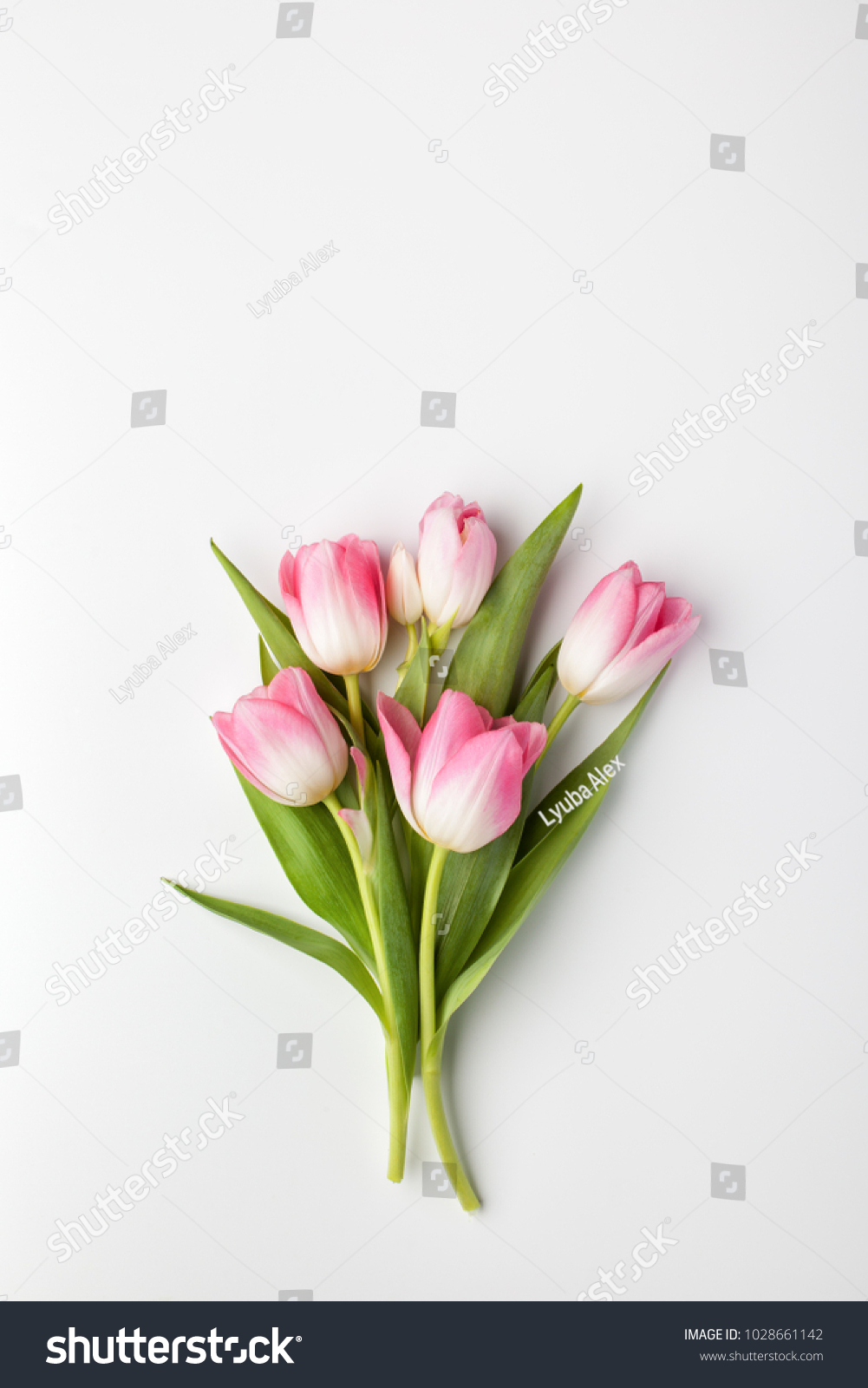 Pink tulip flowers bouquet on white background. Flat lay, top view. #1028661142